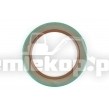 R9995/187 OIL SEAL