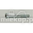 SL553/19 SCREW 3/8  UNF X 2.3/4