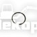 239164 SNAP RING