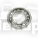 243252 BALL BEARING
