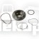 319.14.400.10 KIT FLANGED NEW PISTON CLUTCH