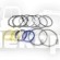 755.24.450.36 SEAL KIT