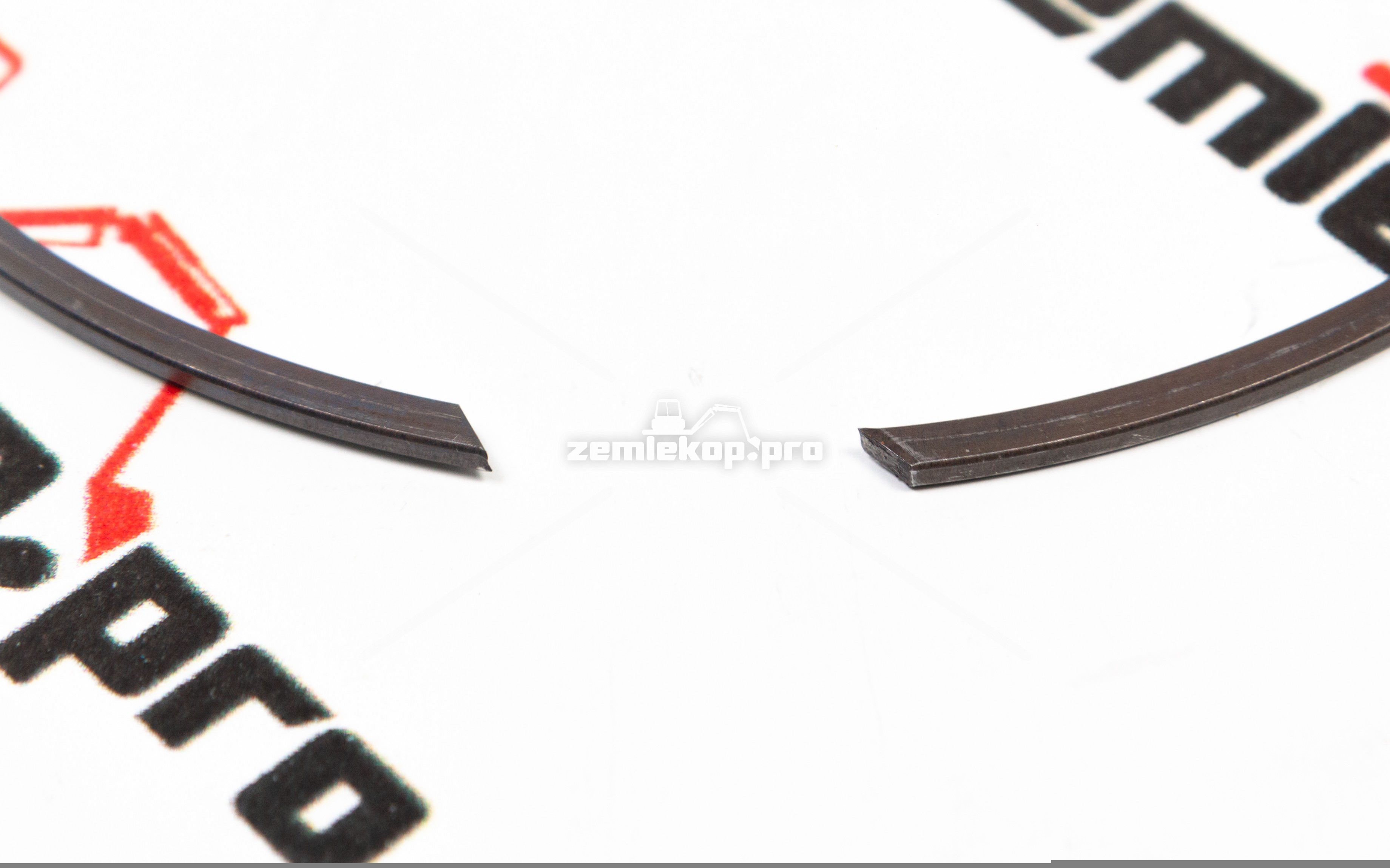 002.06.3423-R Кольцо DANA