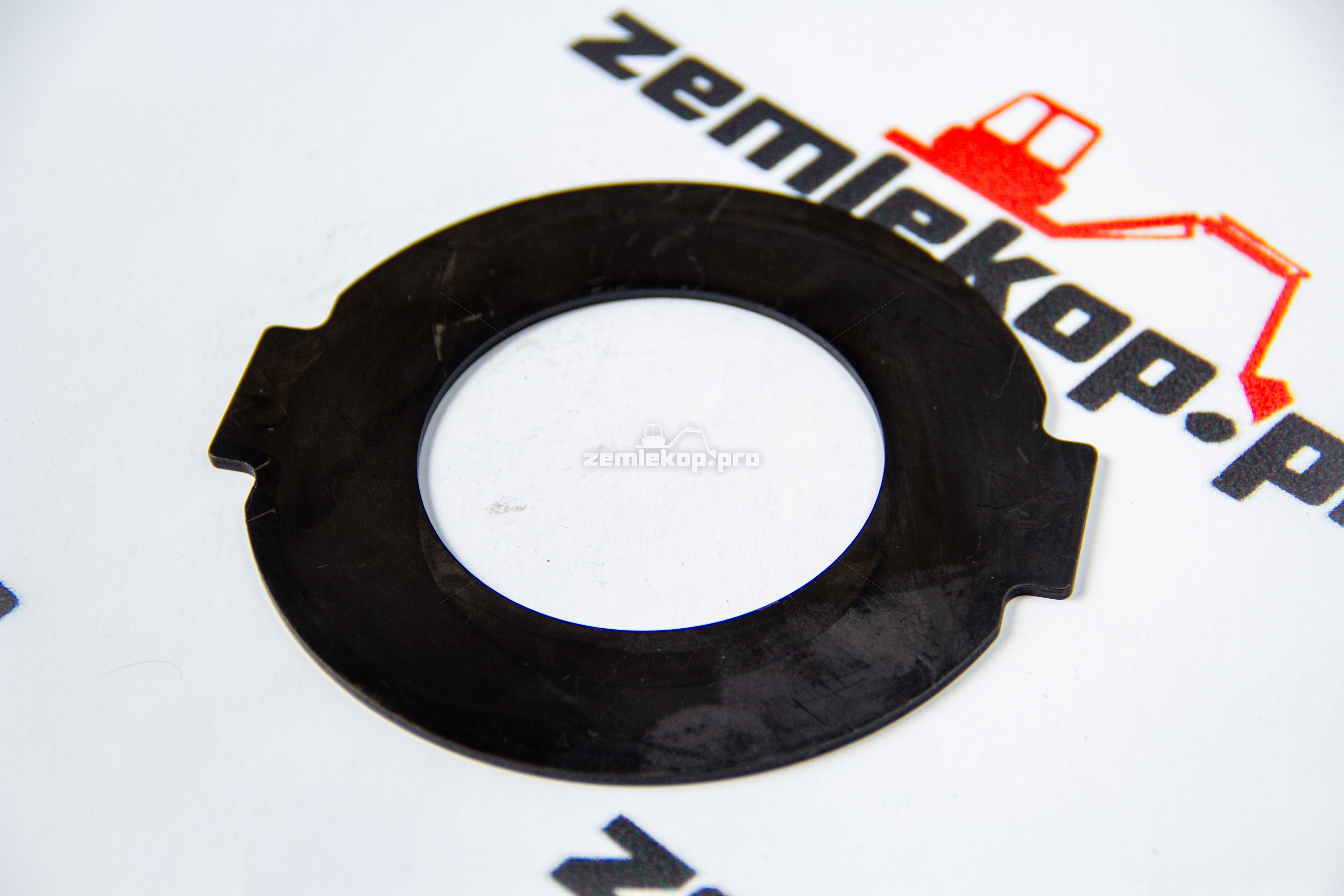 138.04.009.01 Шайба DANA