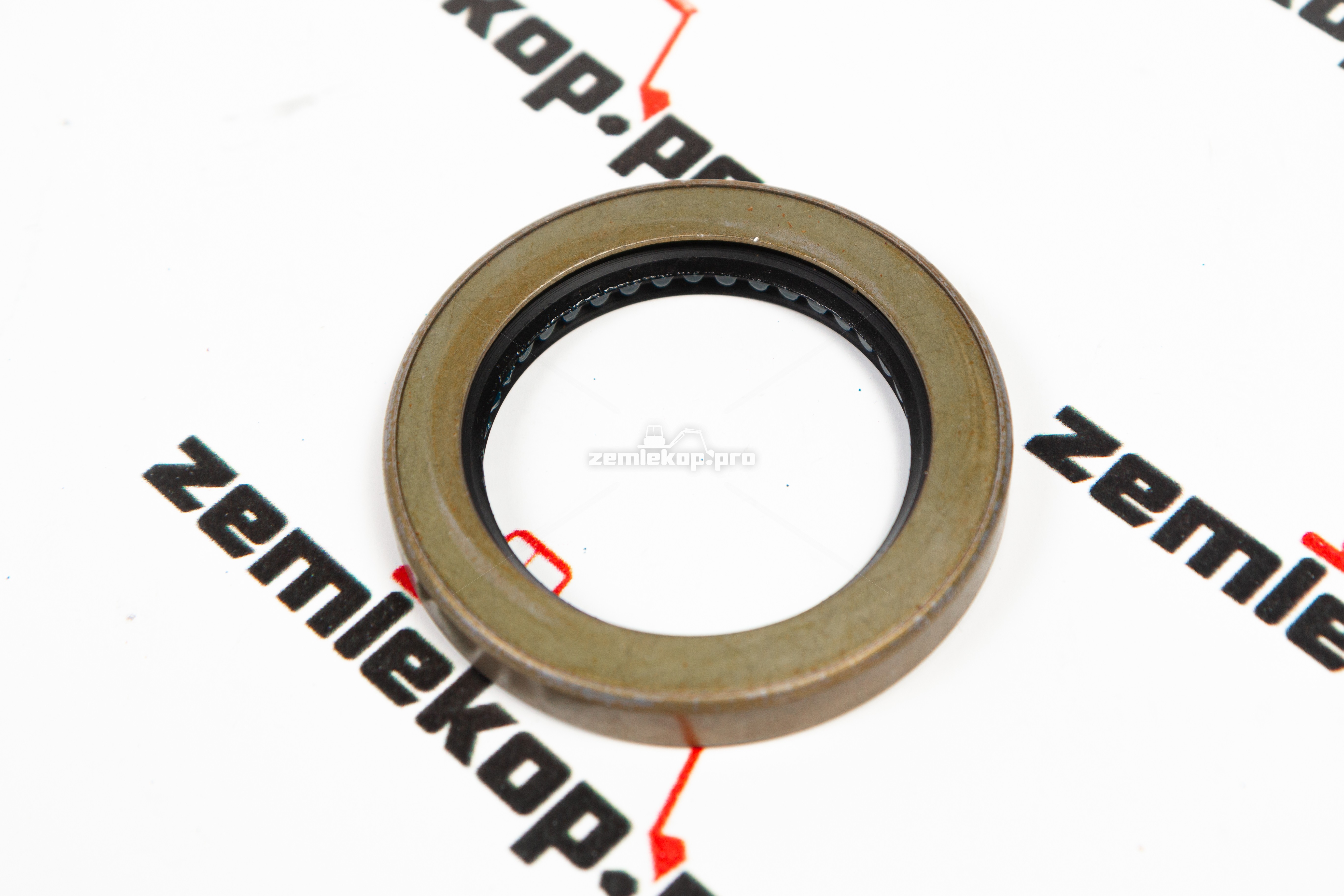 209587 Сальник DANA