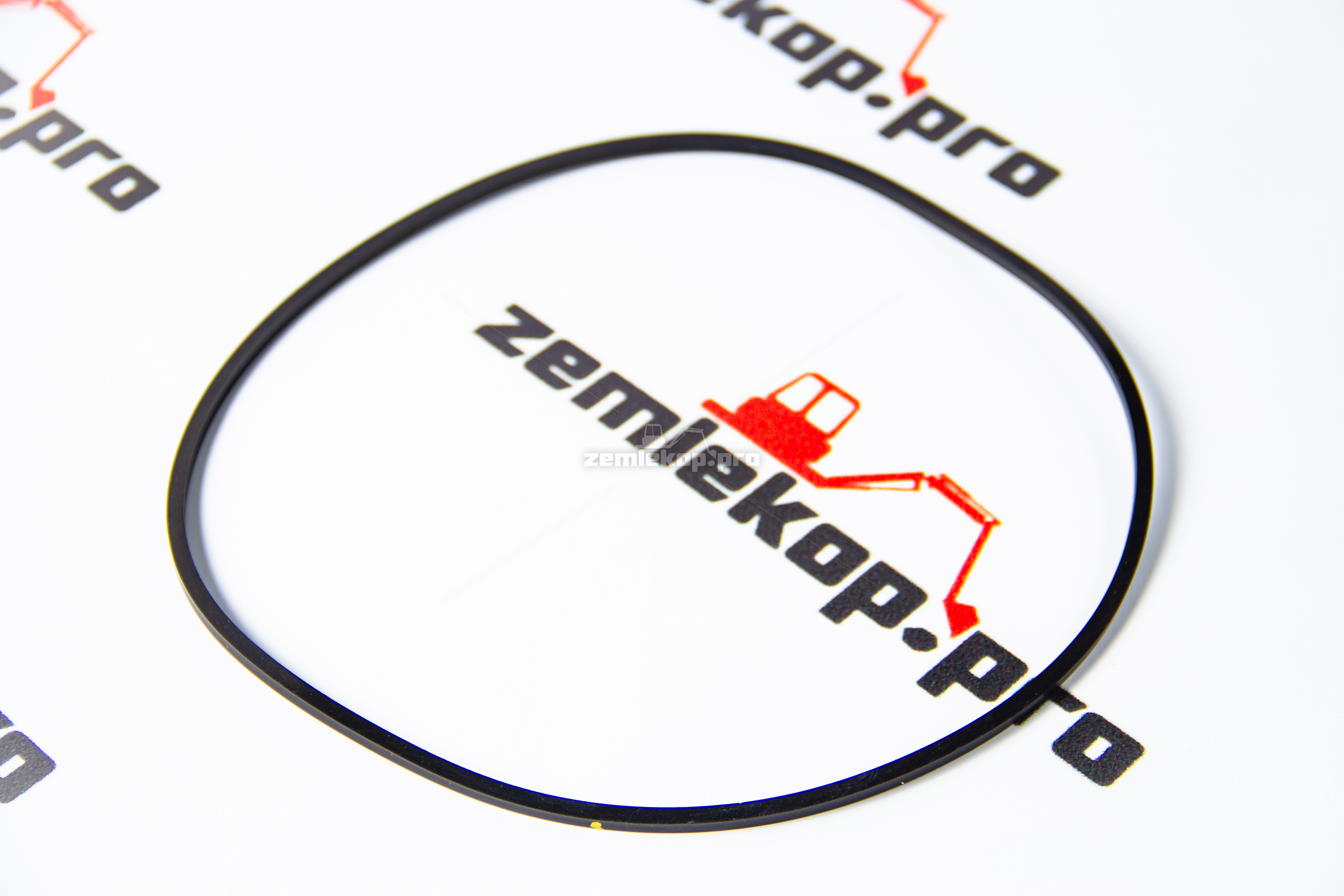 2111028 Сальник DANA