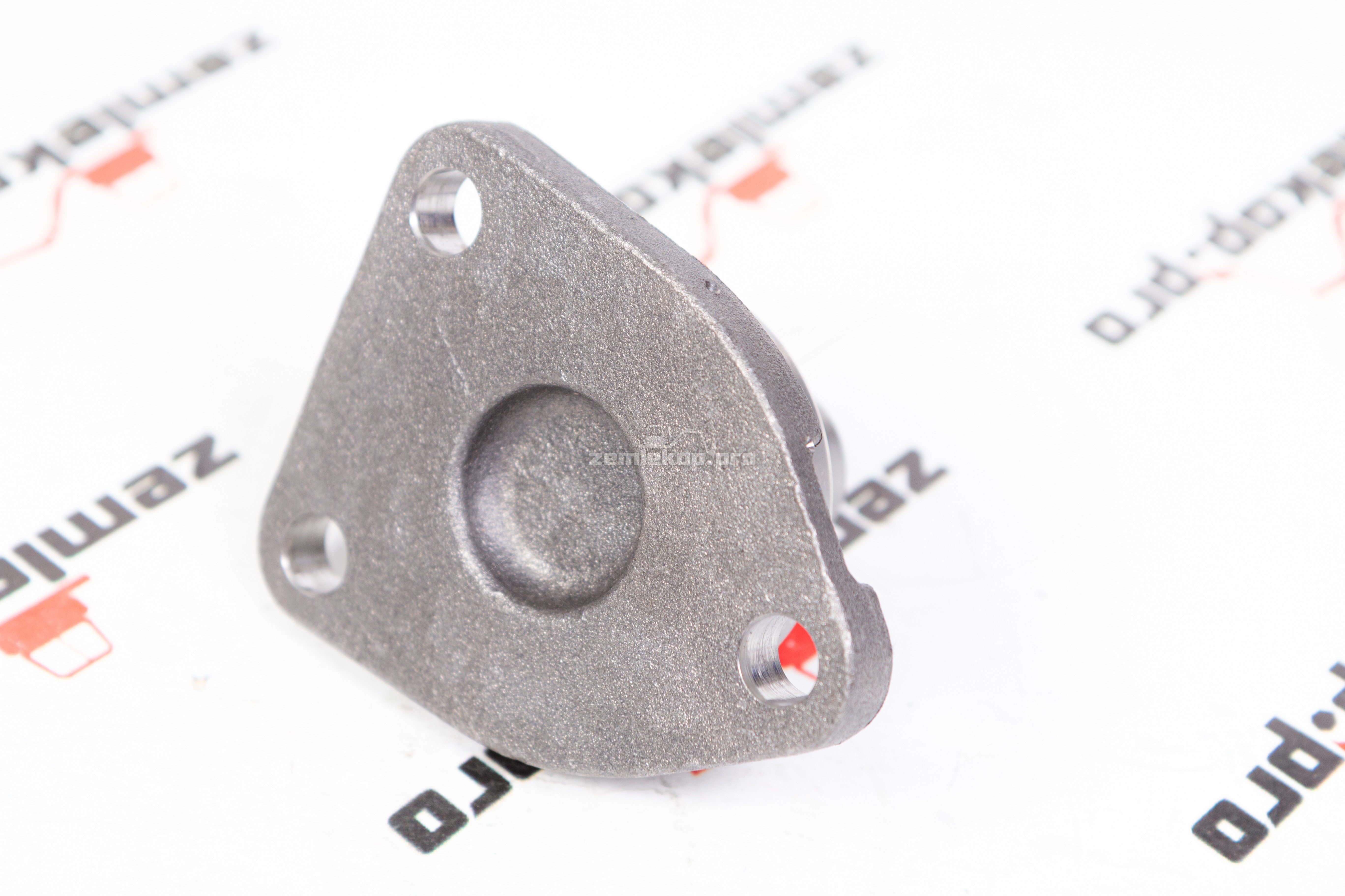 720.06.036.01 Шкворень DANA