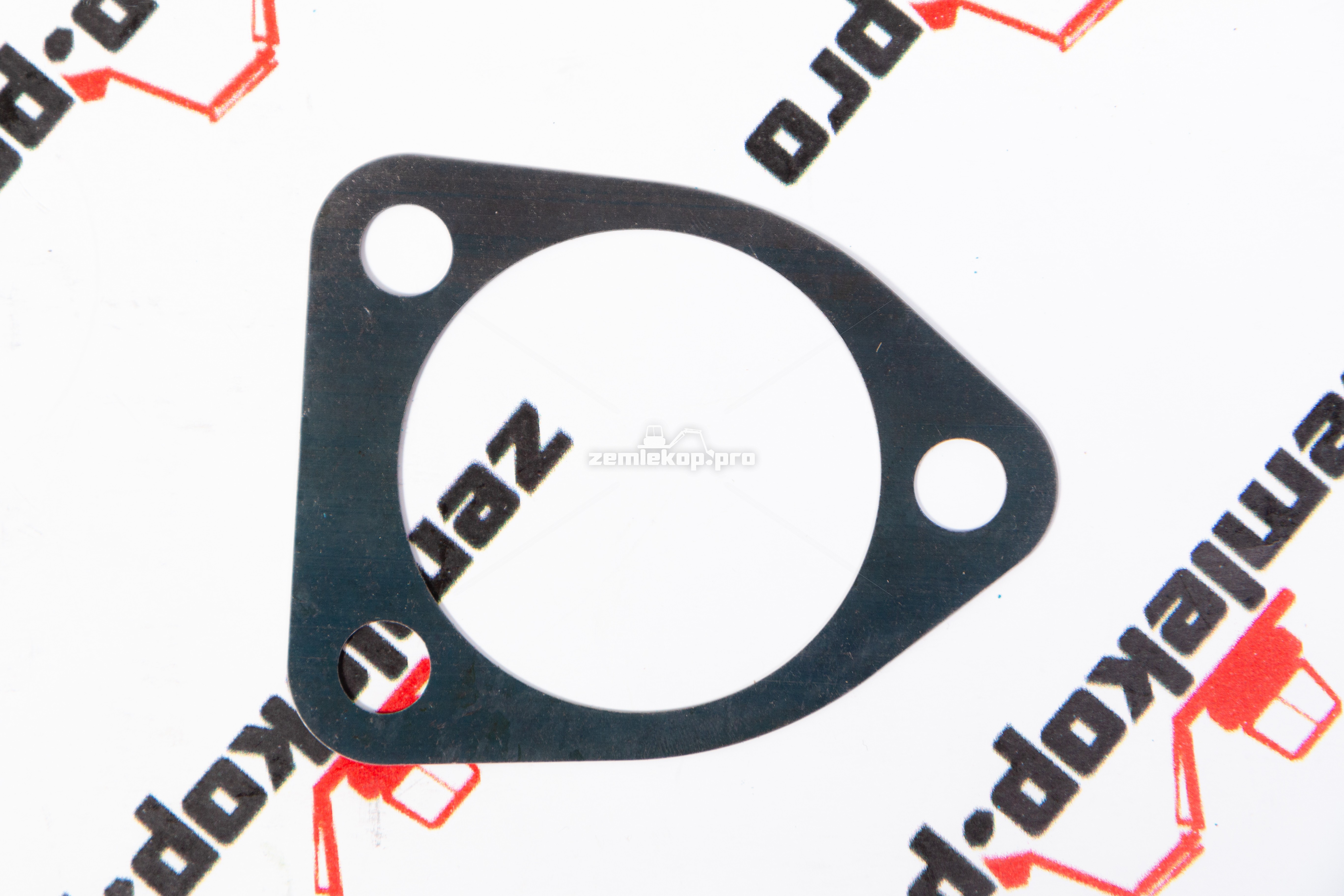 730.06.080.01 Прокладка DANA