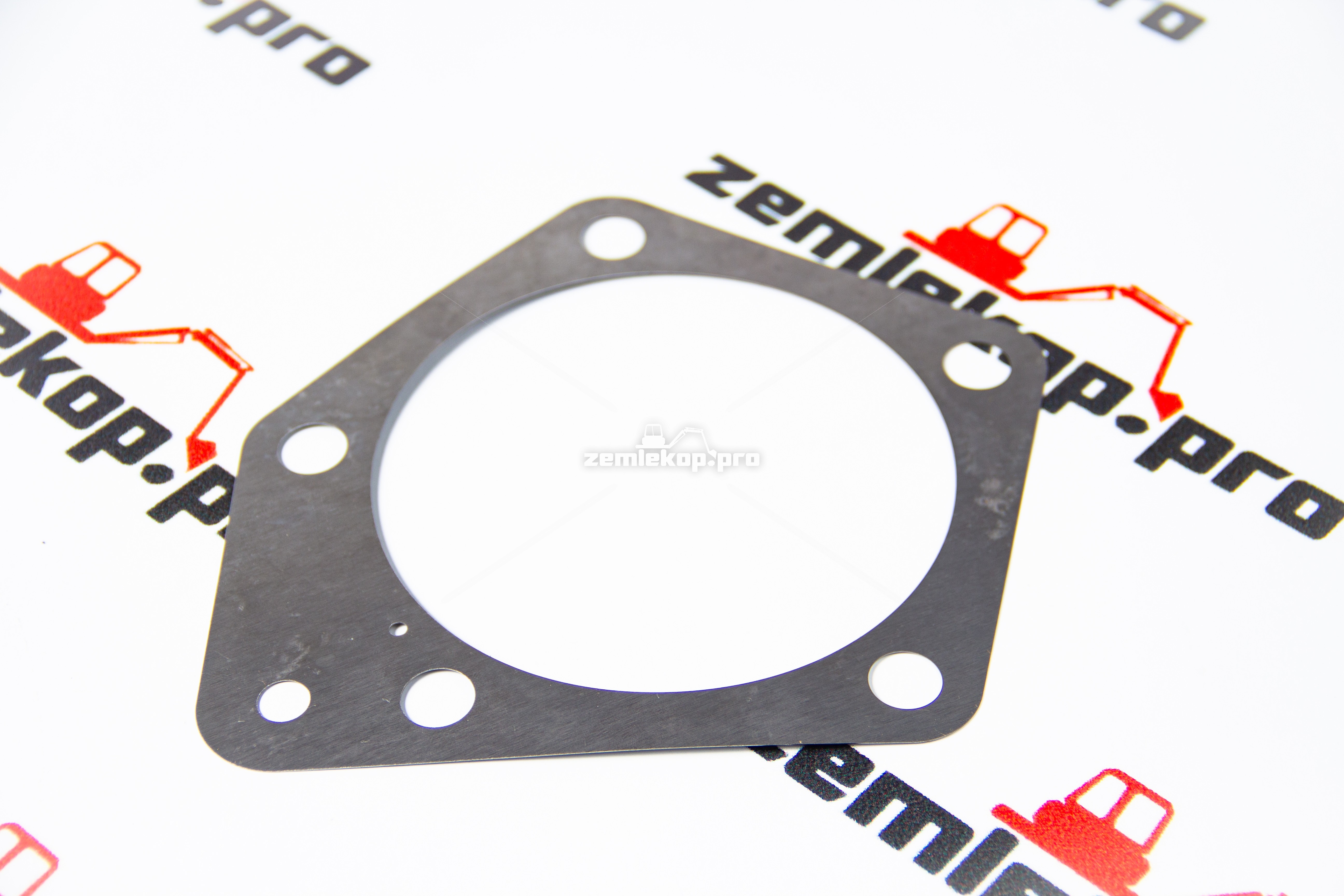 217691 Прокладка DANA