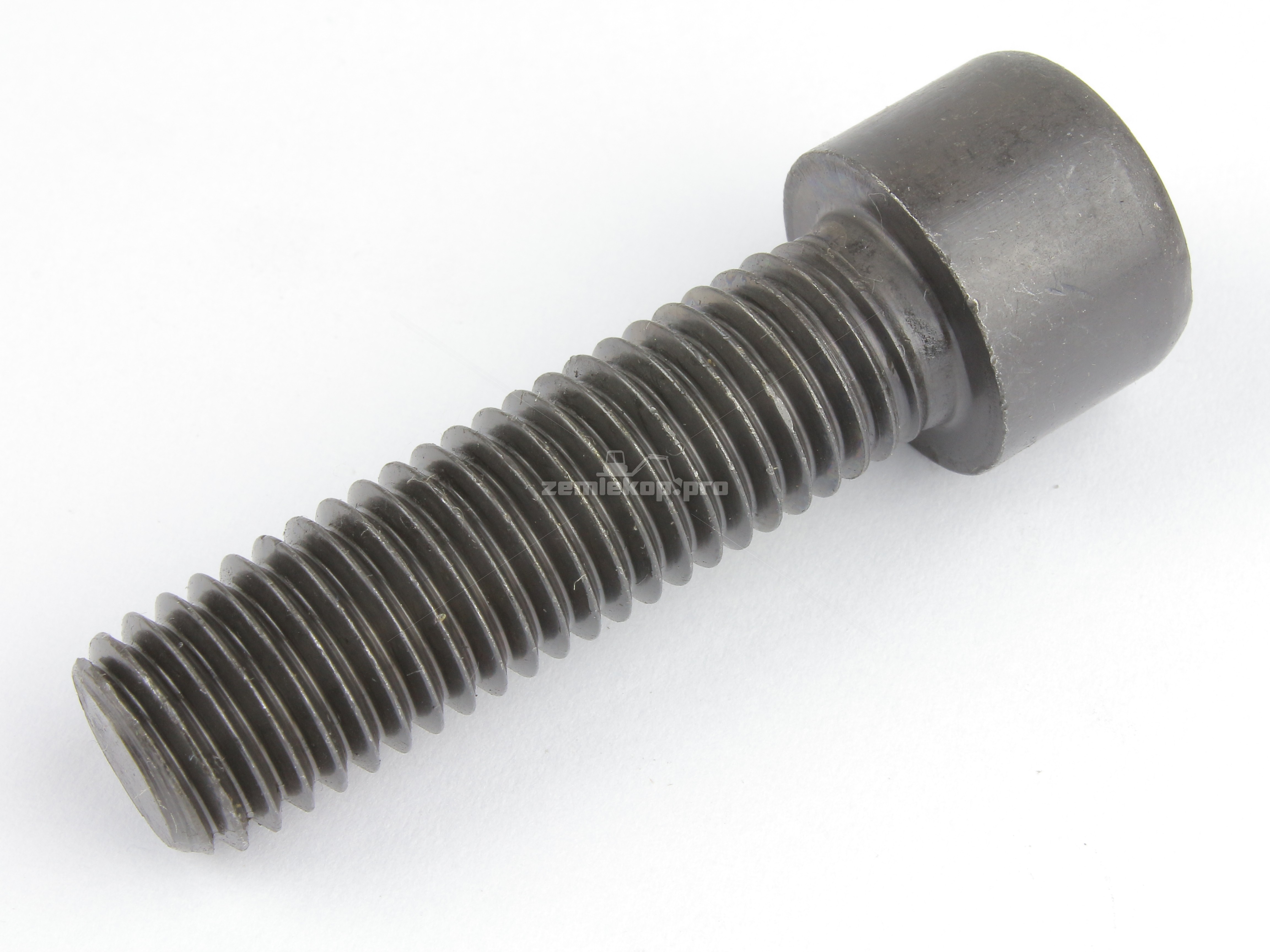 000.057059 SCREW