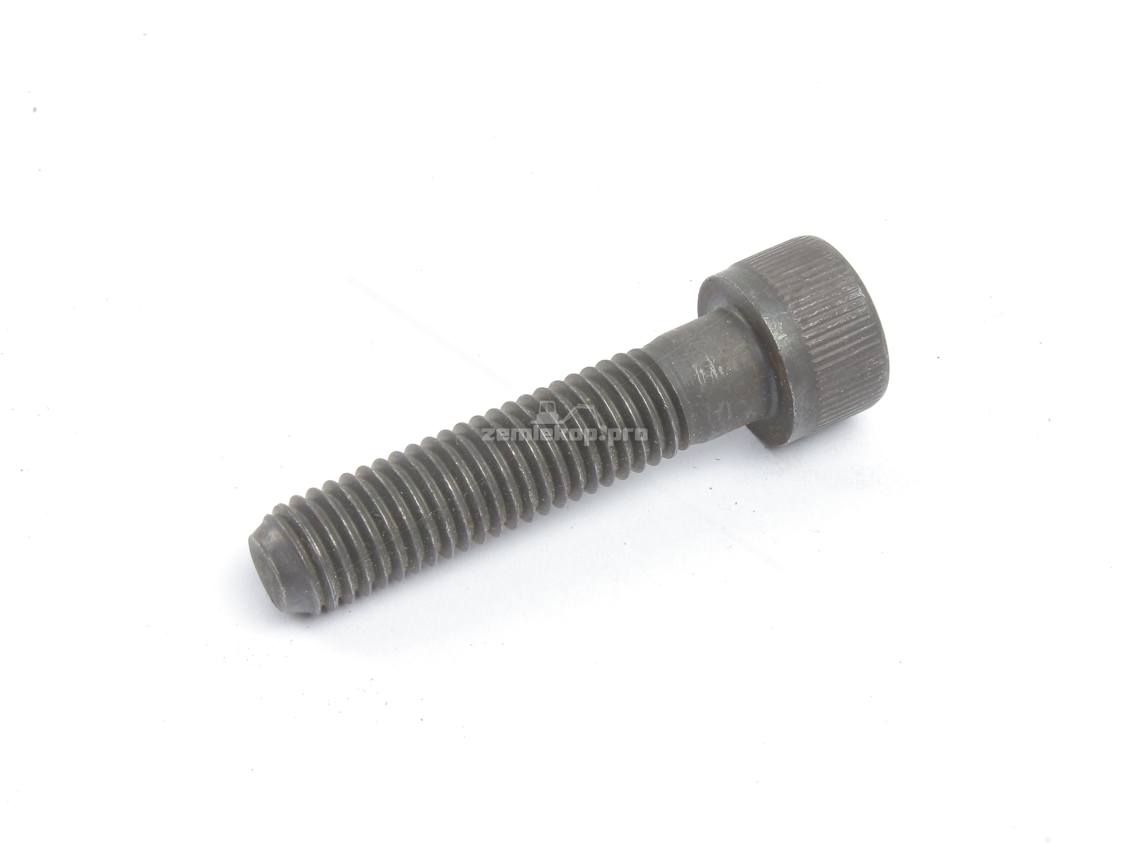 000.057460 SCREW