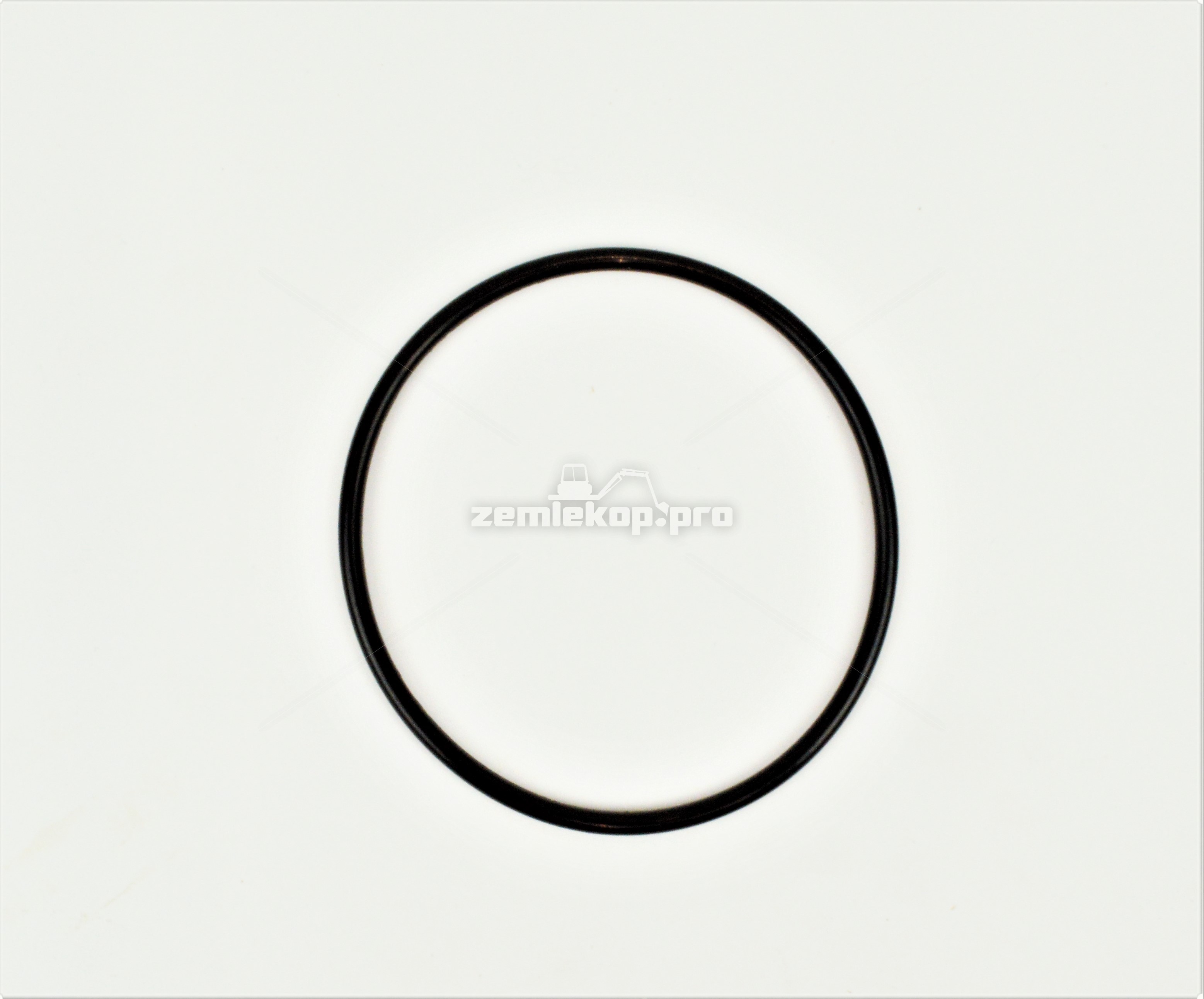 000.3004908X1 O RING