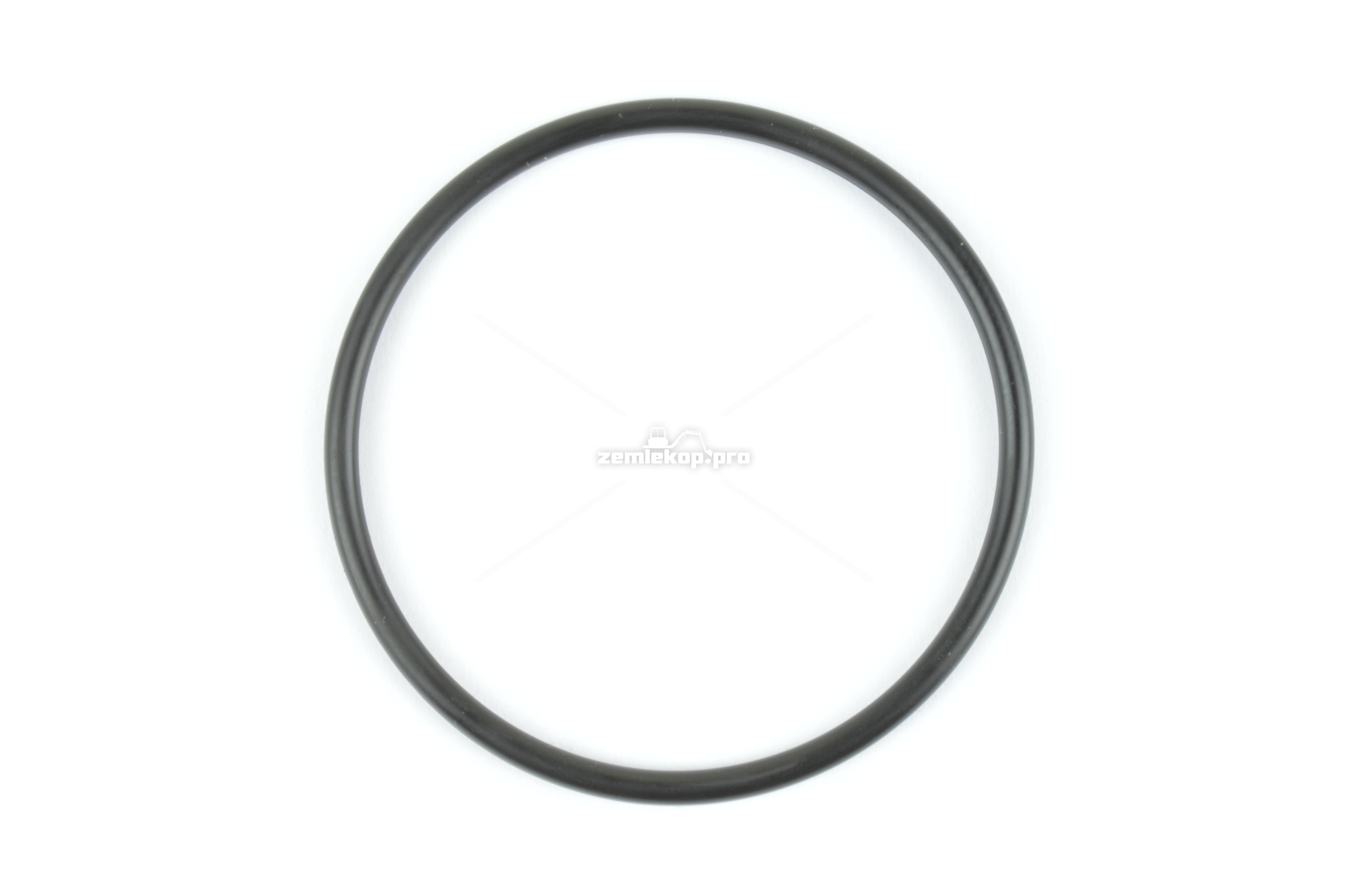 000.3019943X1 O-RING