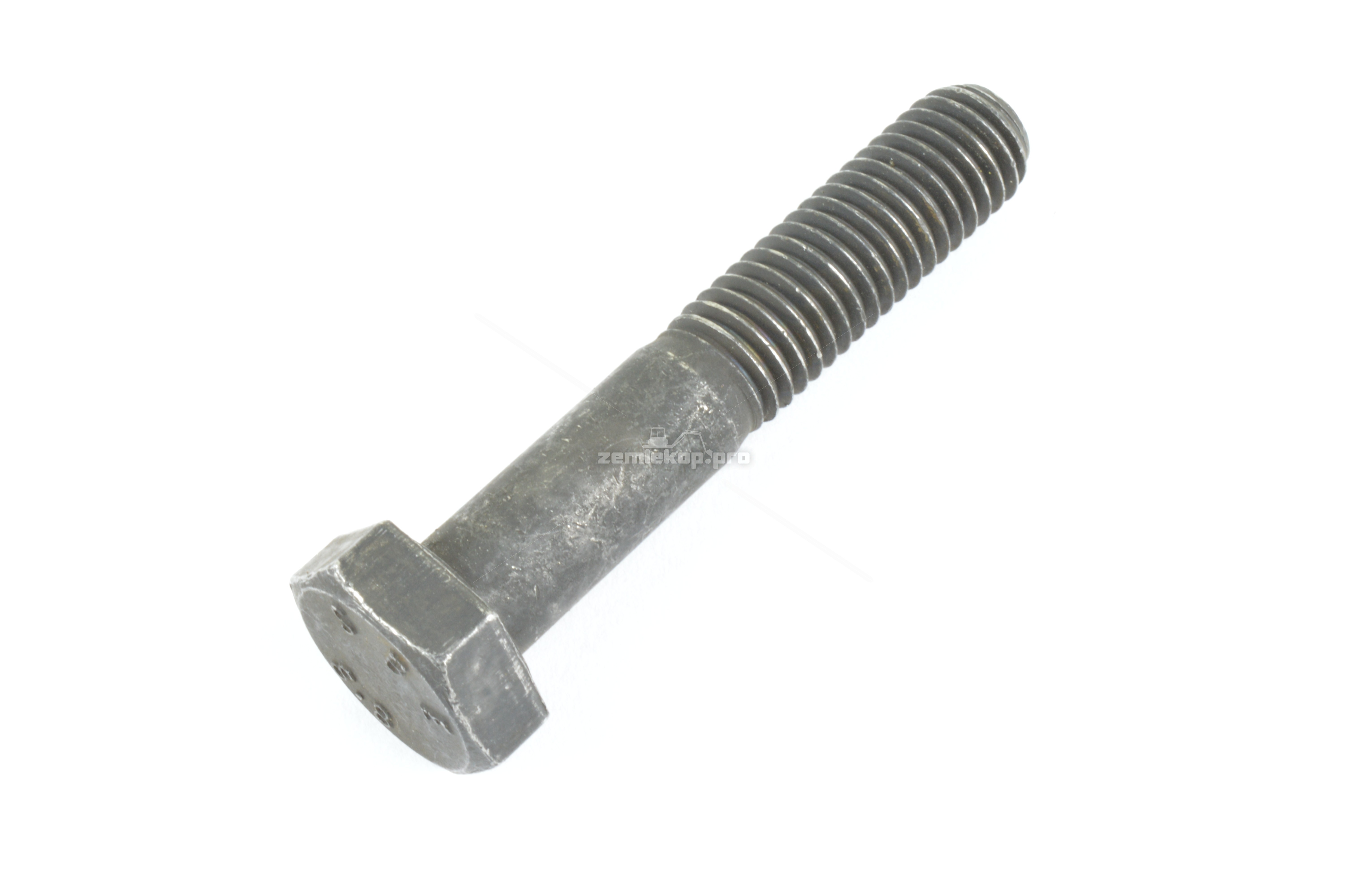 016.03.0397 SCREW M10