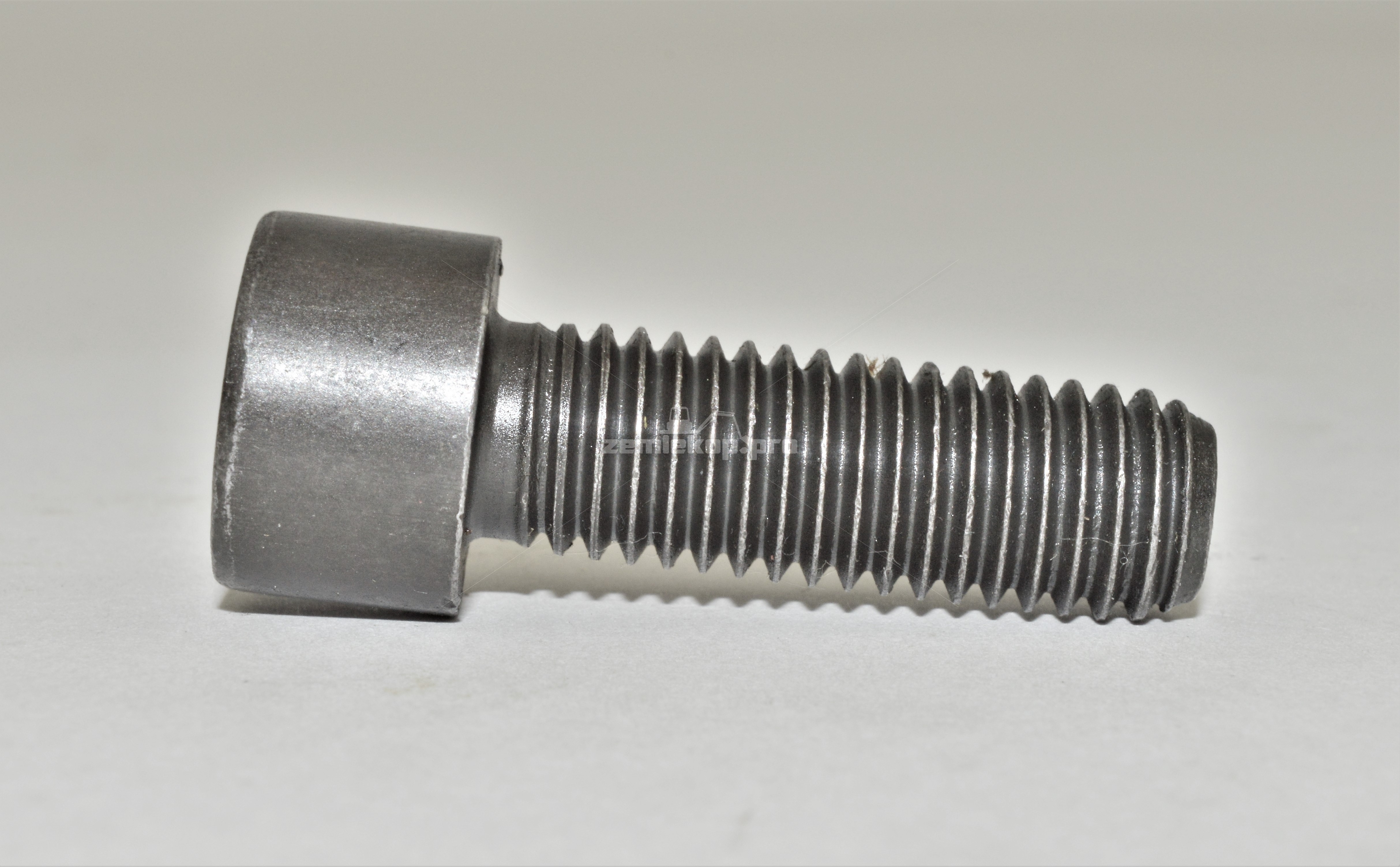 016.04.0422 SCREW M10