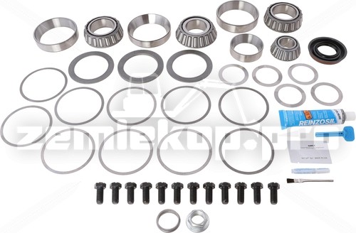 10038955 BEARING KIT