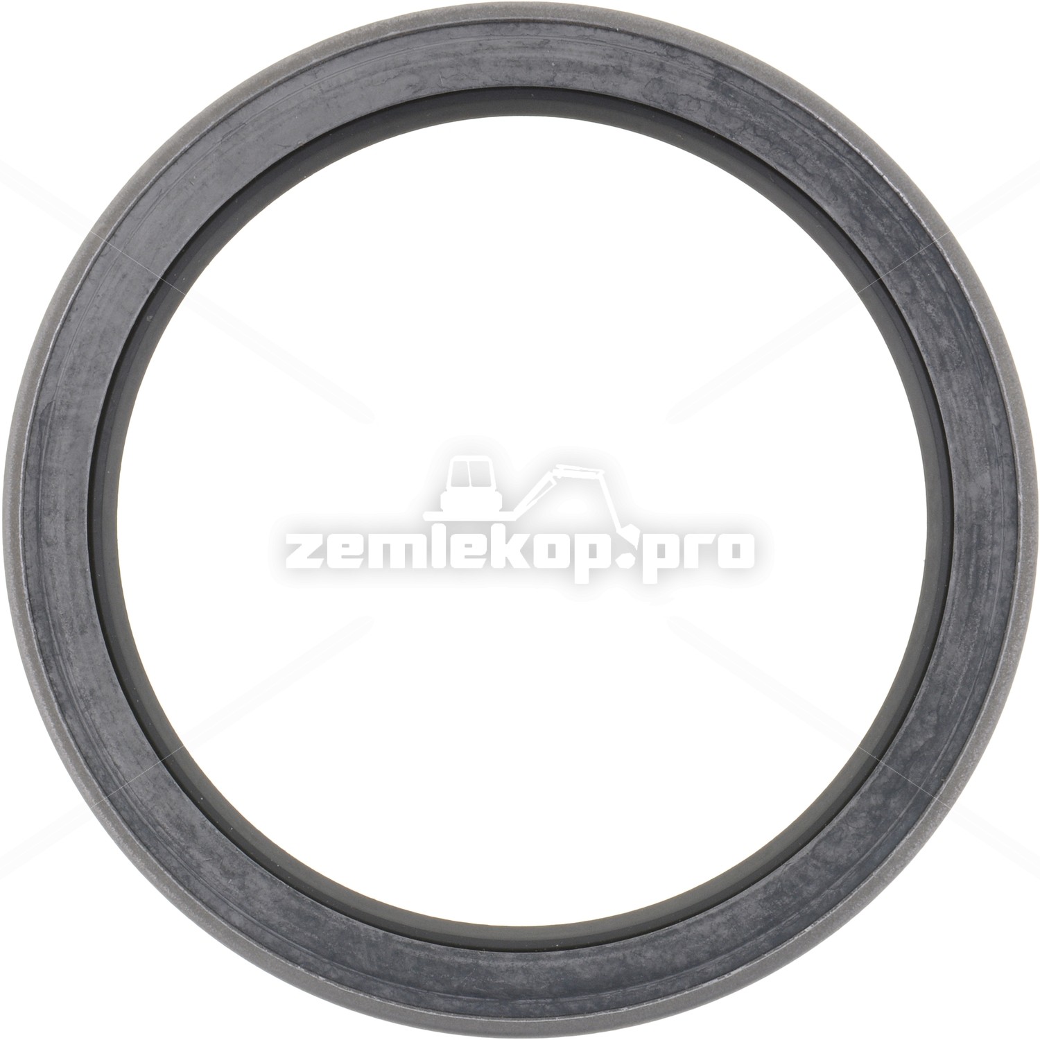 123779 OIL SEAL