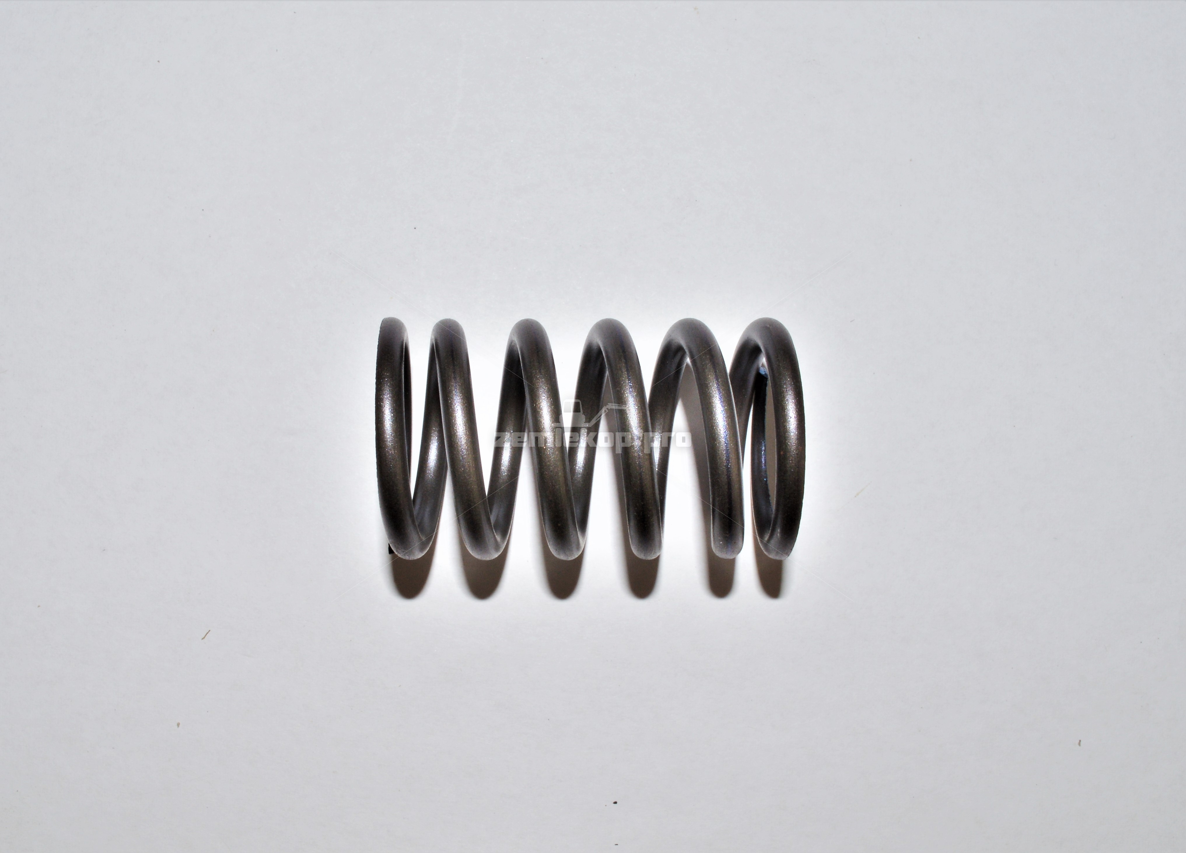 176.04.024.01 SPRING