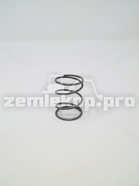 1901501 SPRING (1.00,1.31,.072)