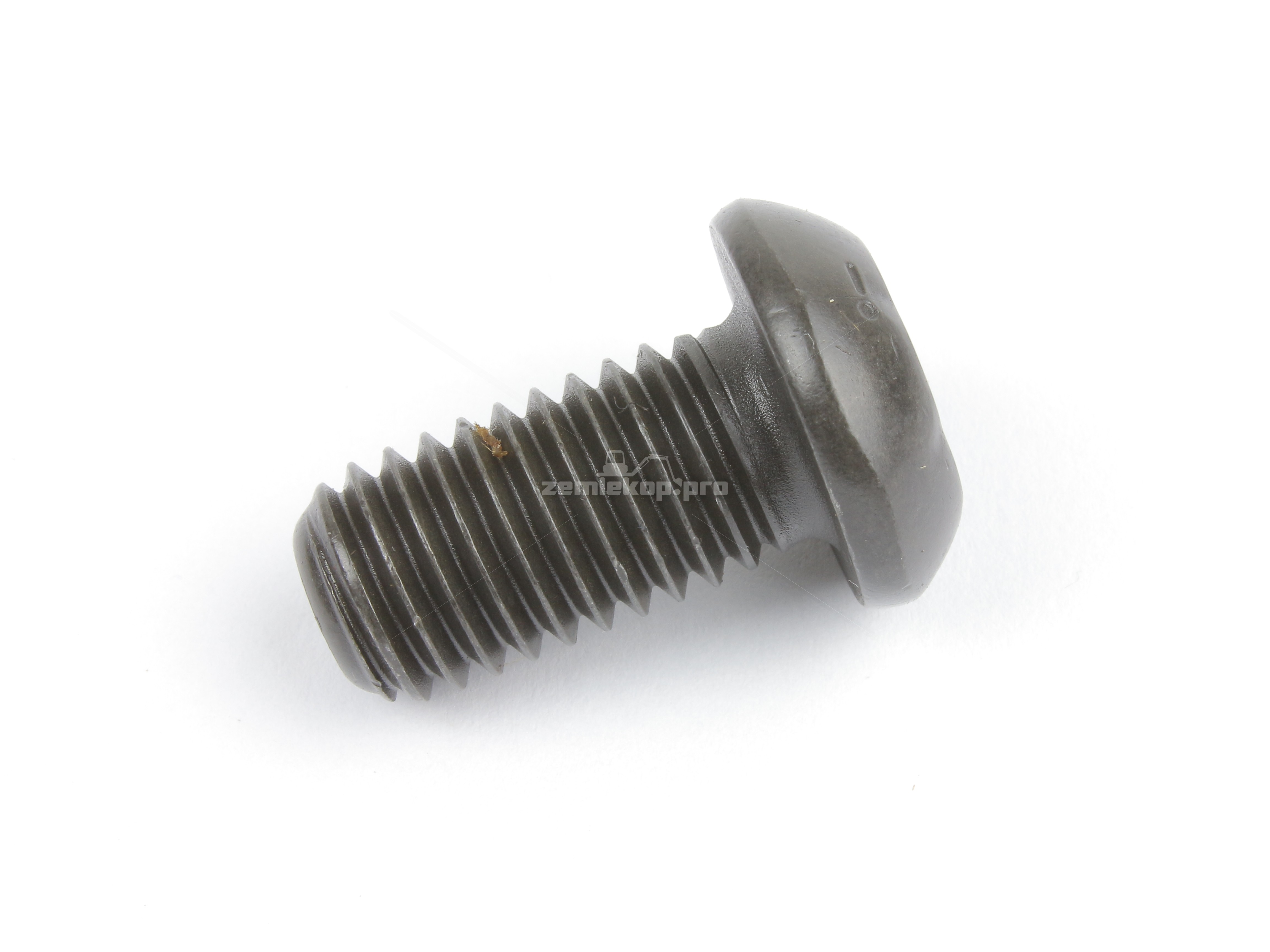 2113917 SCREW