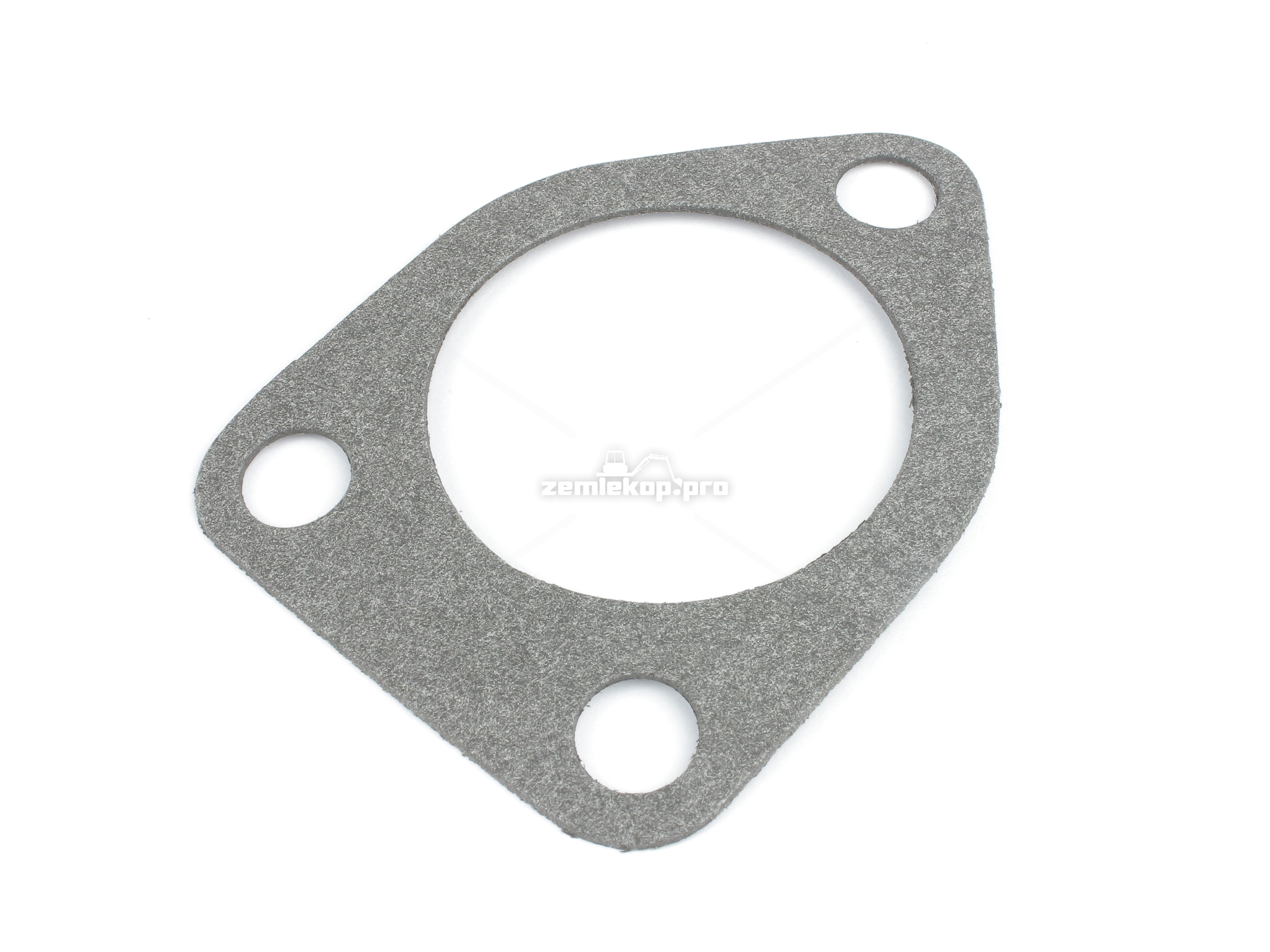 227623 GASKET