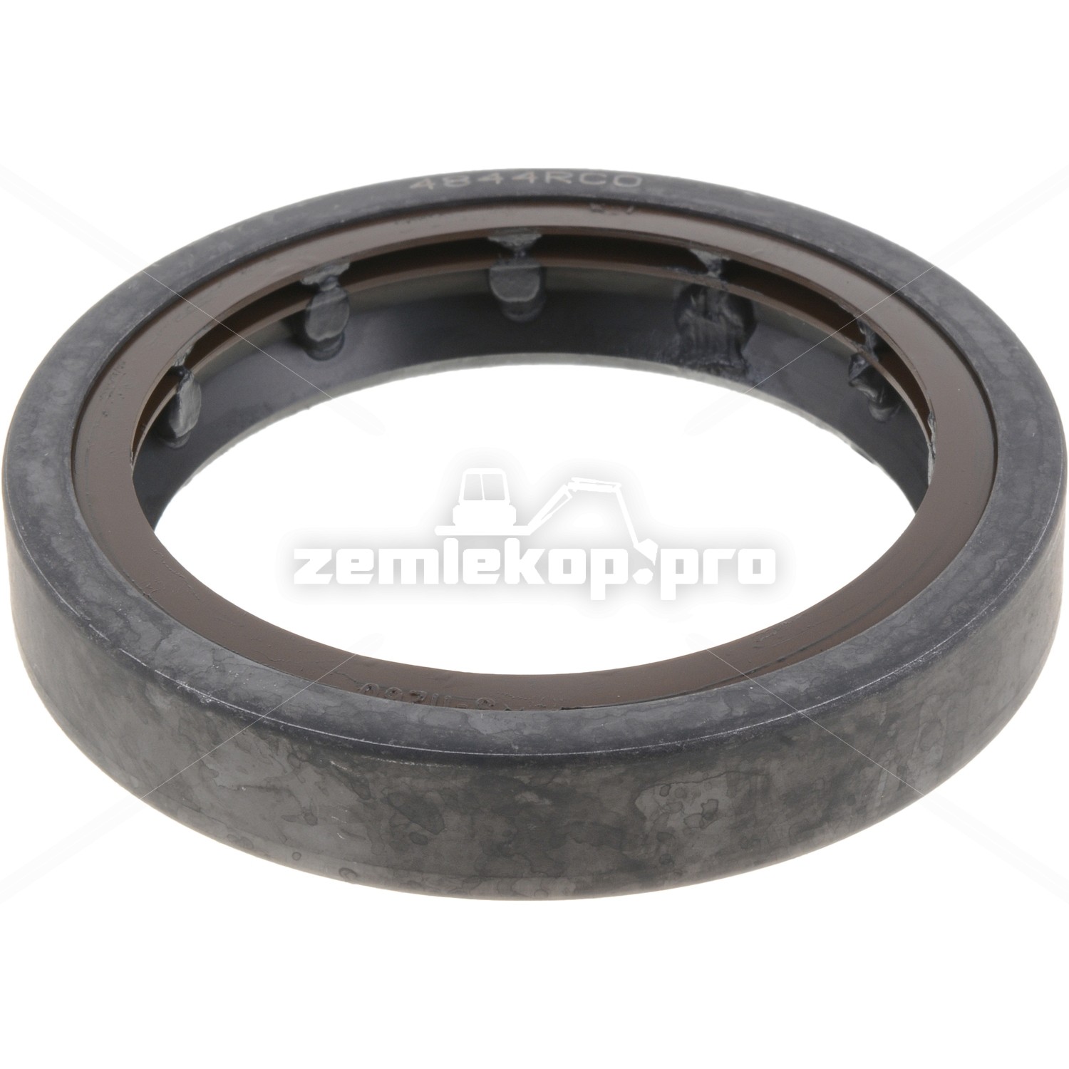 231896 OIL SEAL