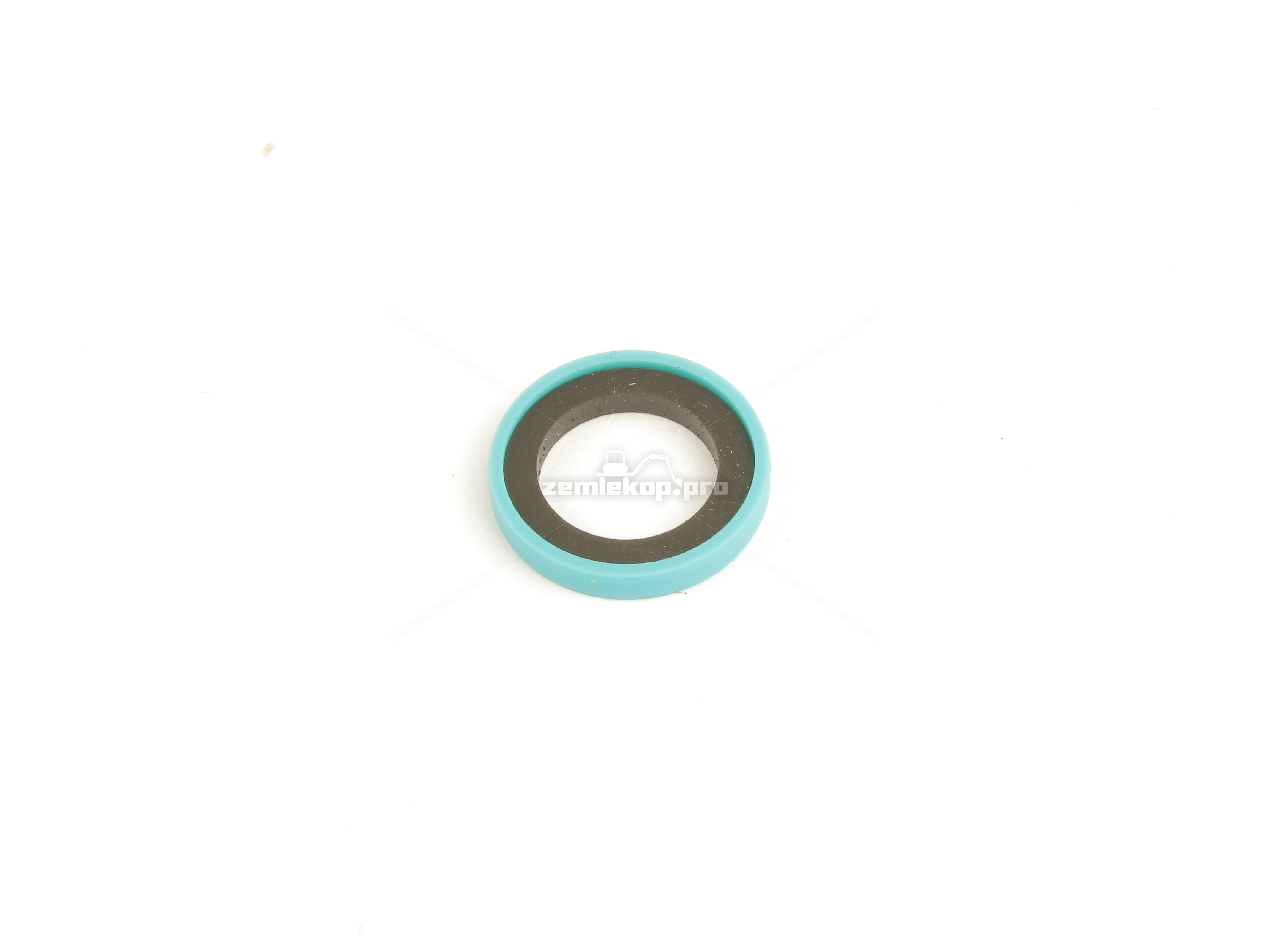 234186 GLYD RING ASSY