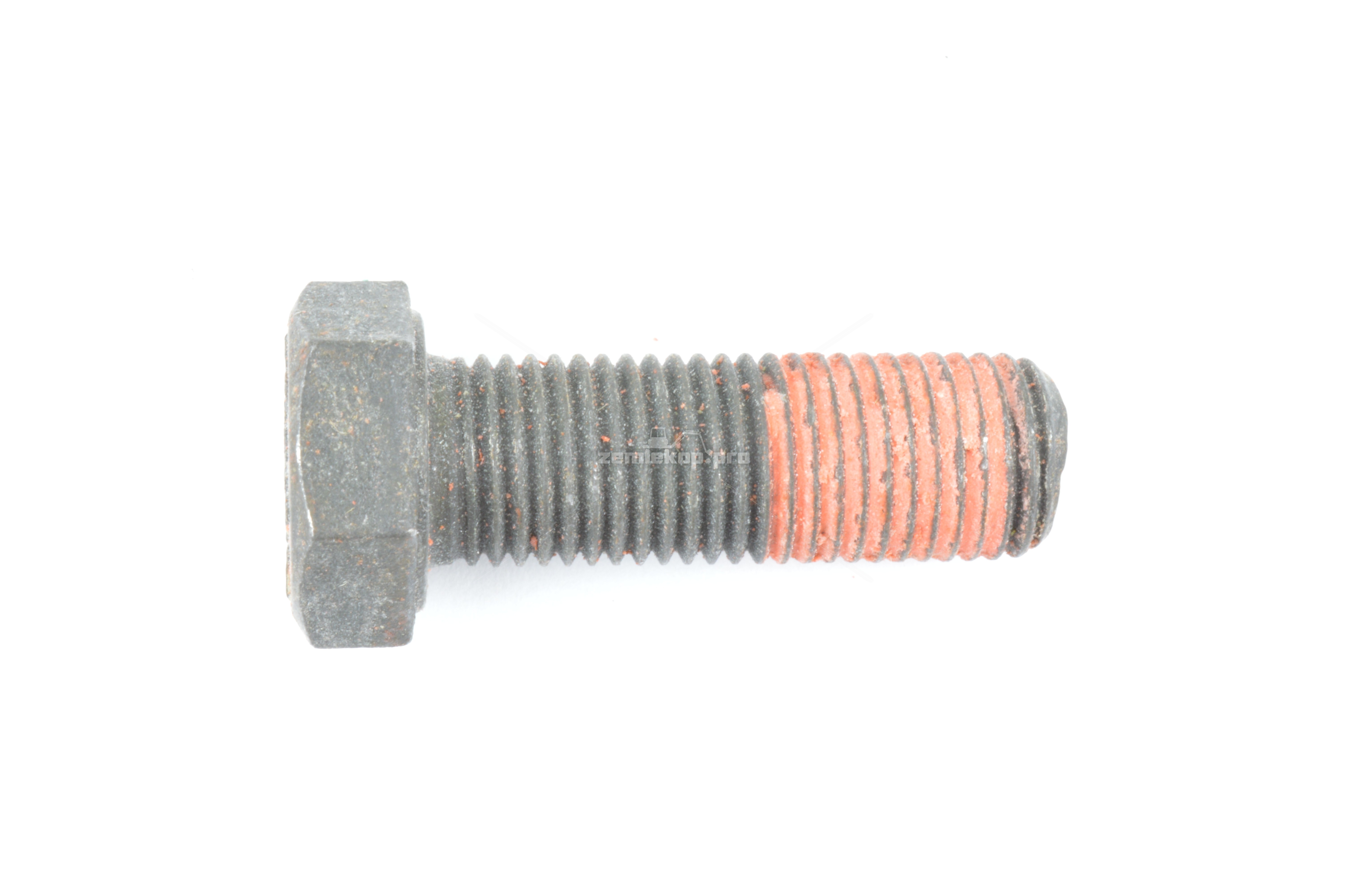 242892 SCREW