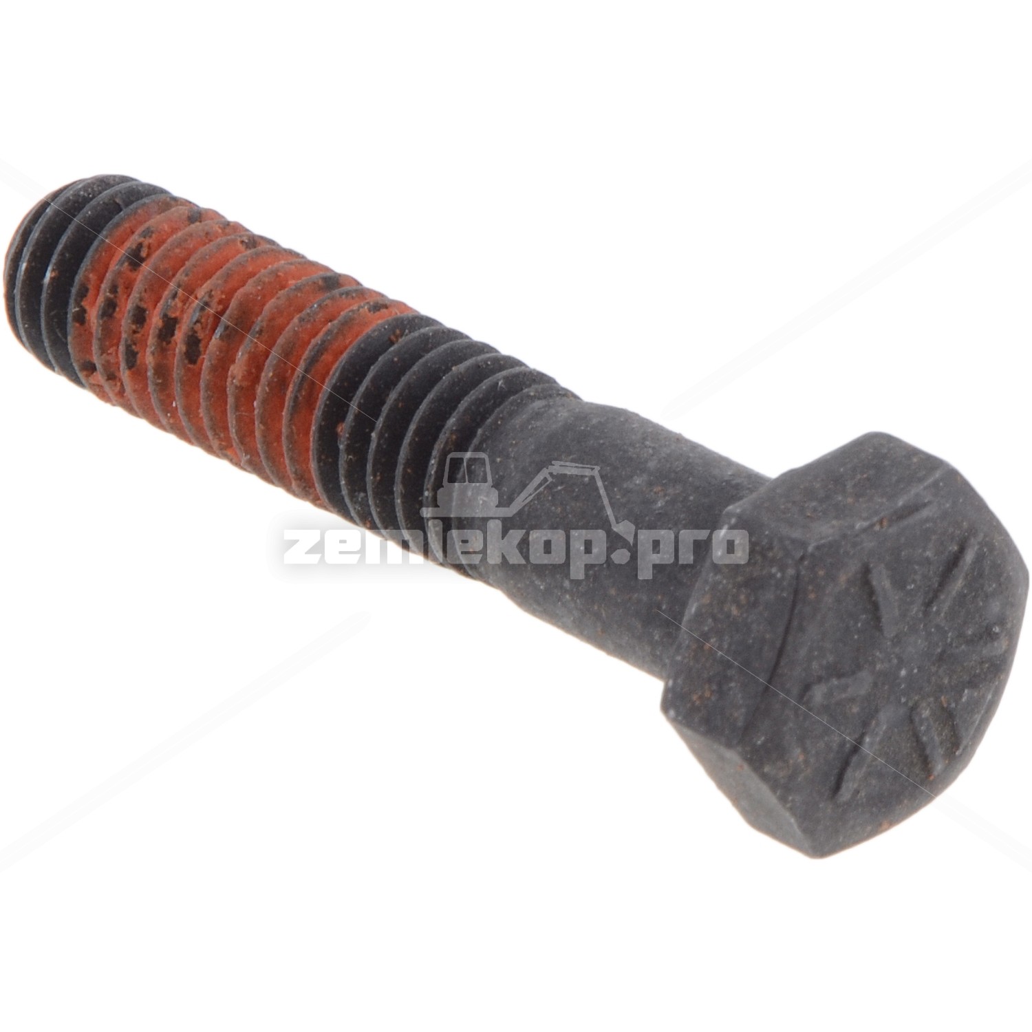 243970 CAP SCREW