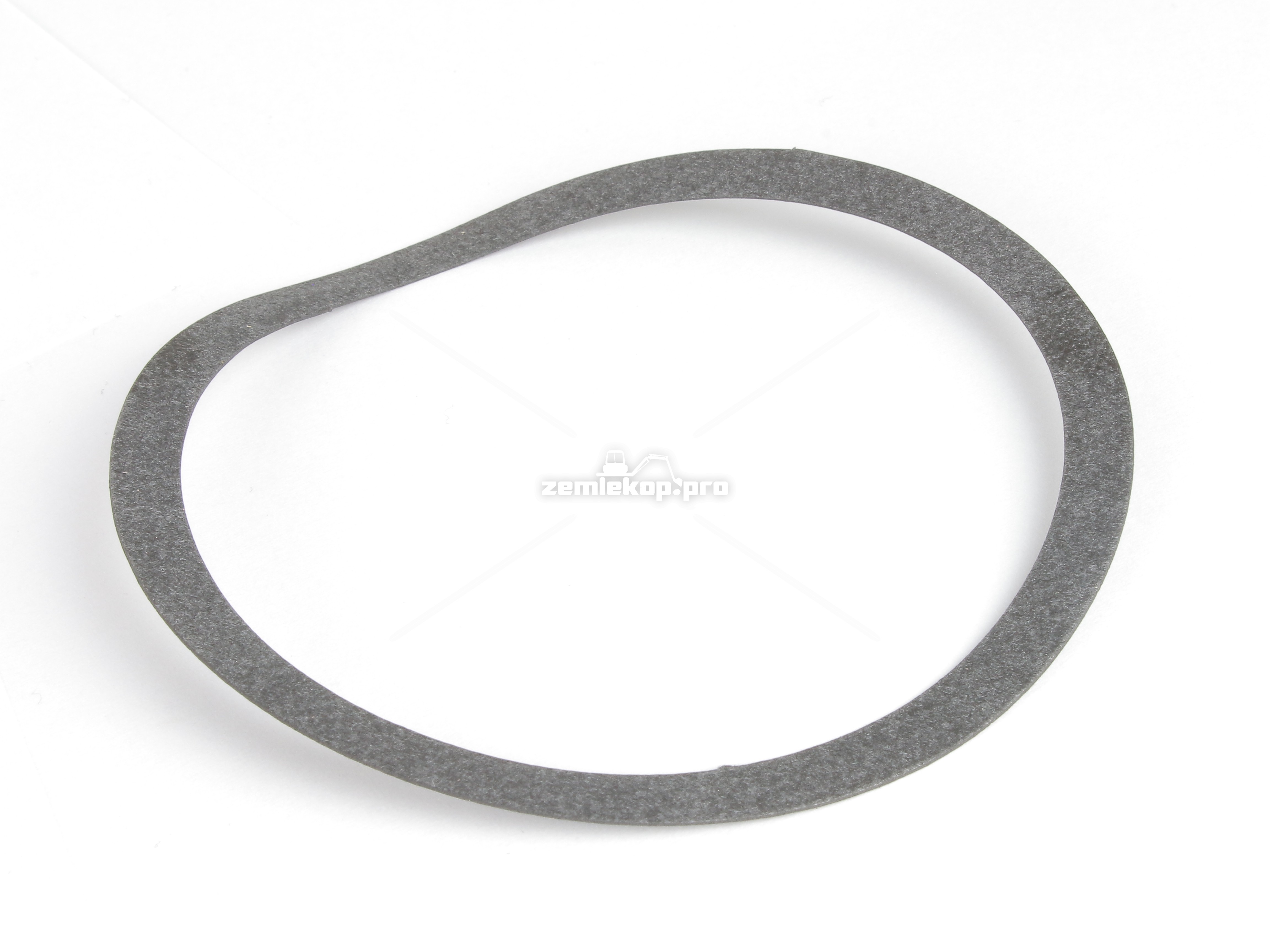 245102 GASKET