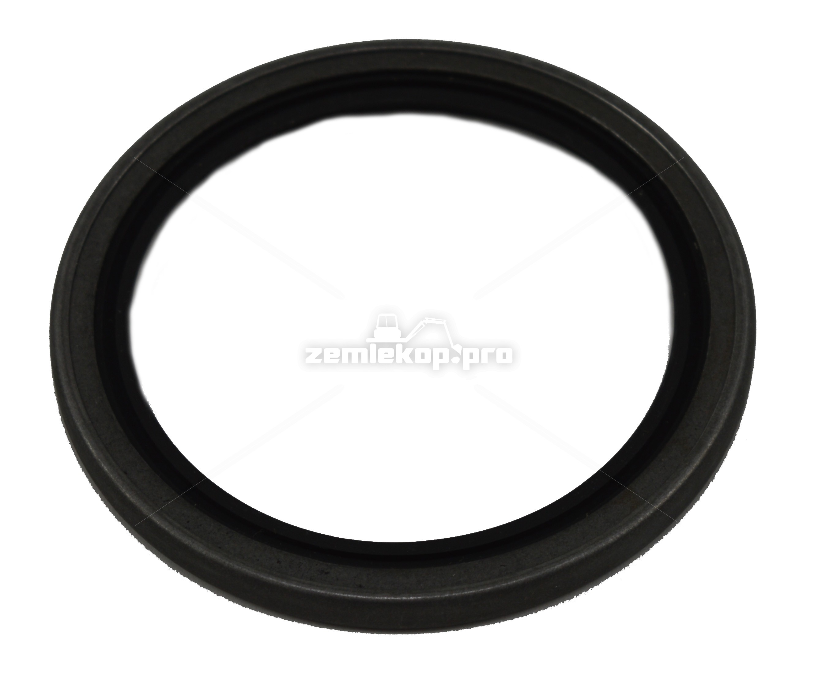 248794 OIL SEAL