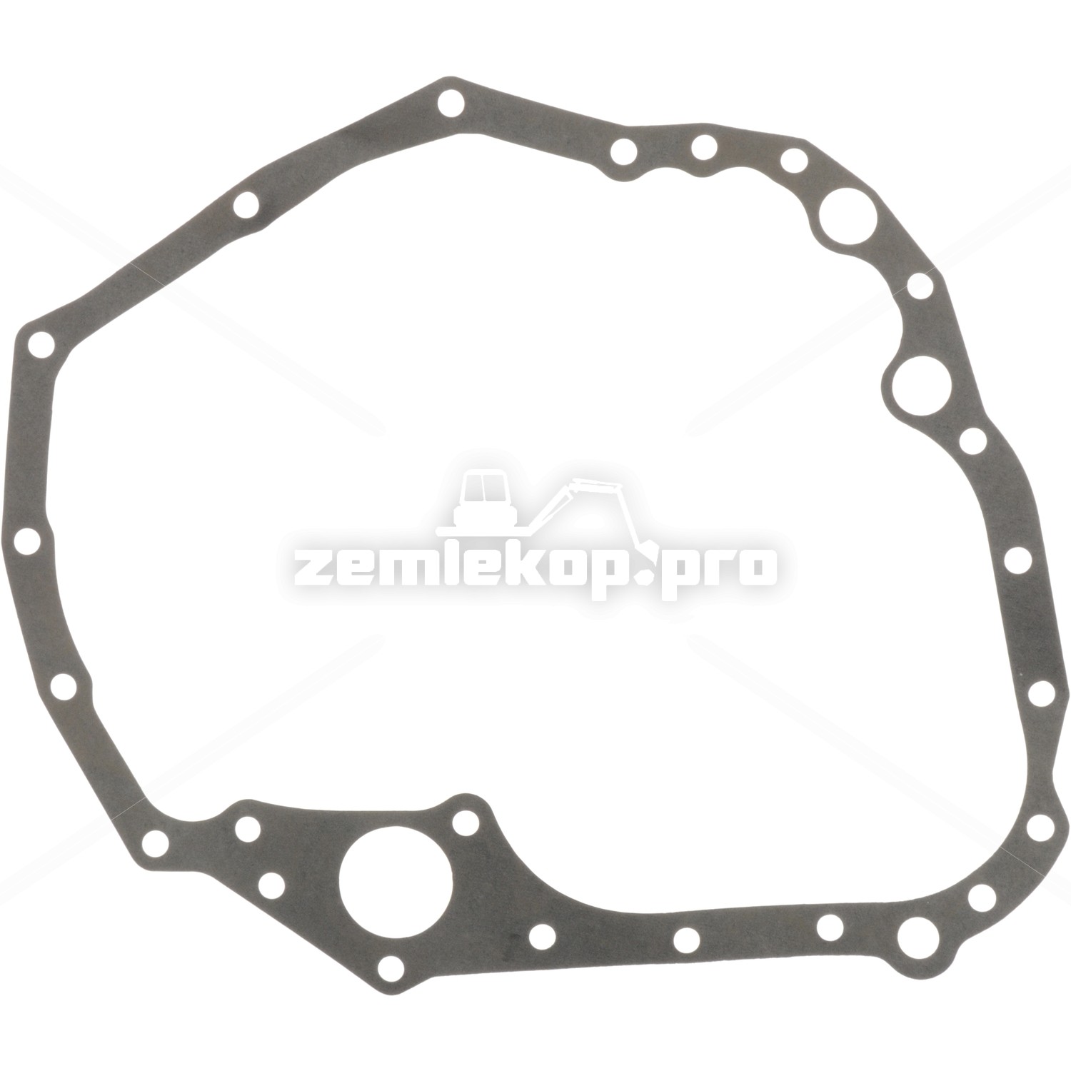 249831 GASKET