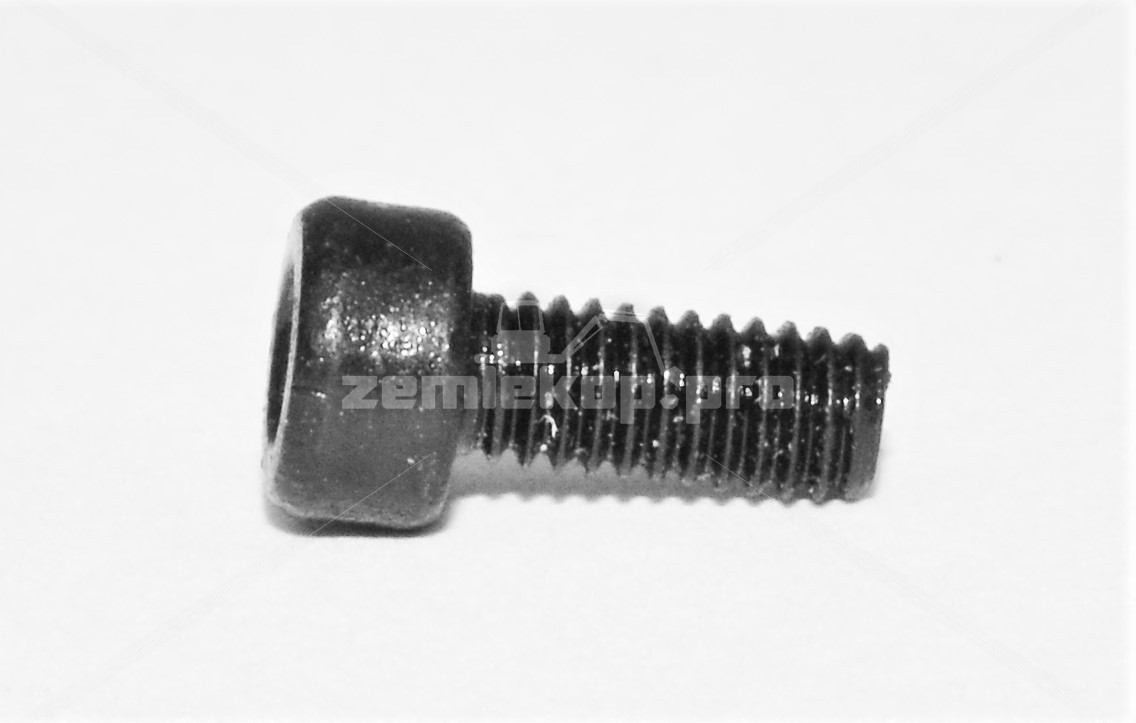 4201654 SCREW