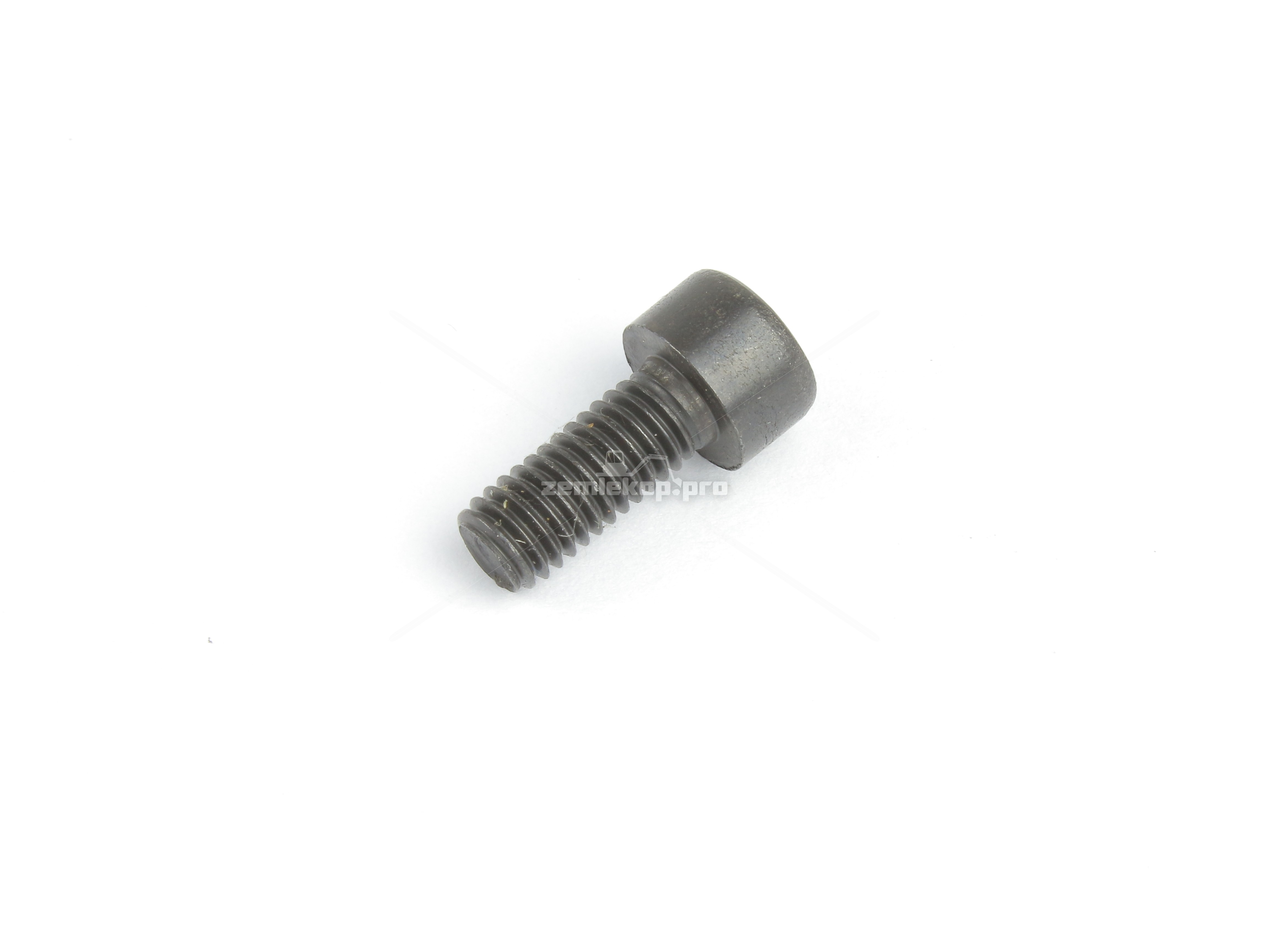 4201717 SCREW