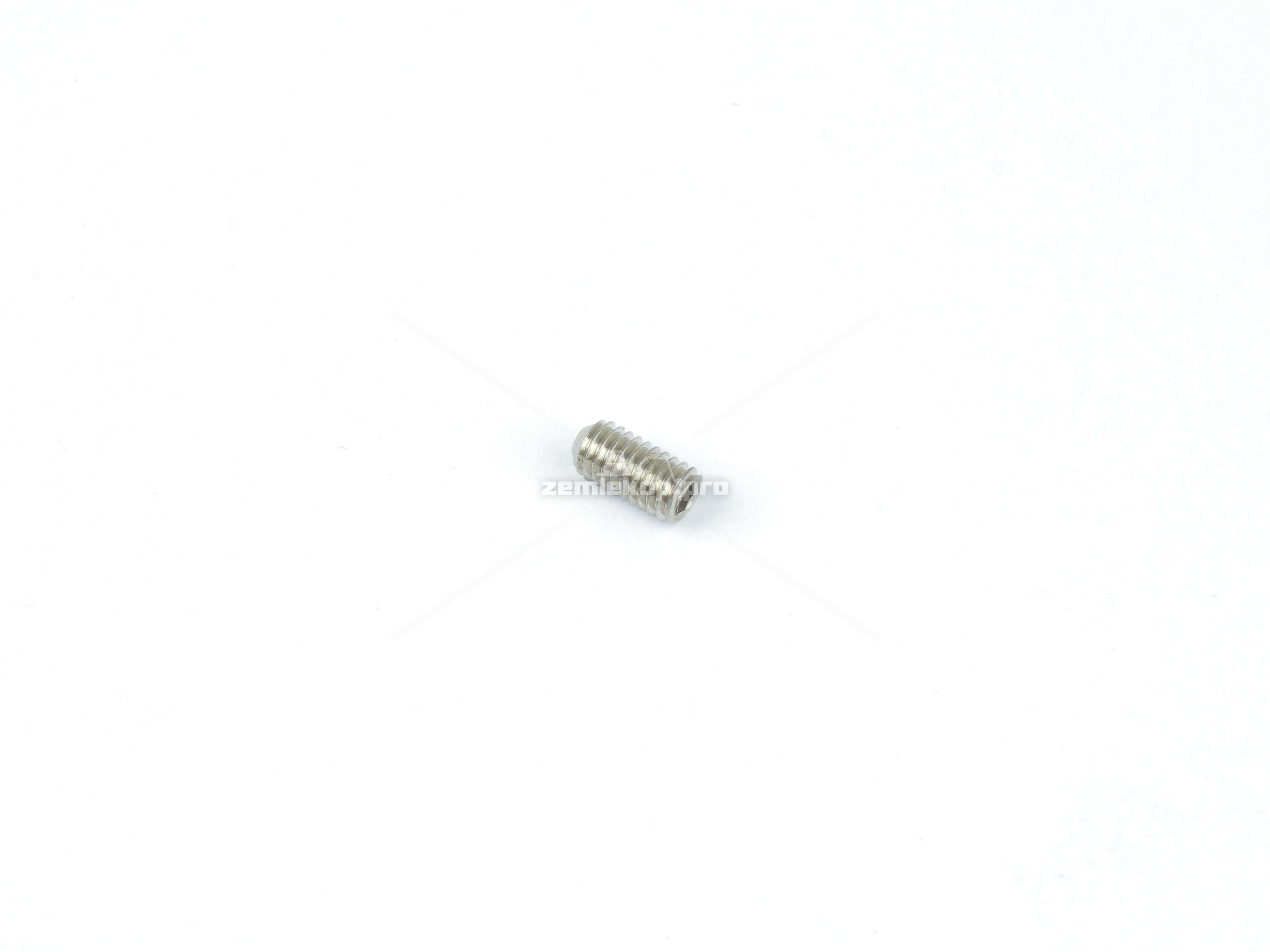 4202405 SCREW