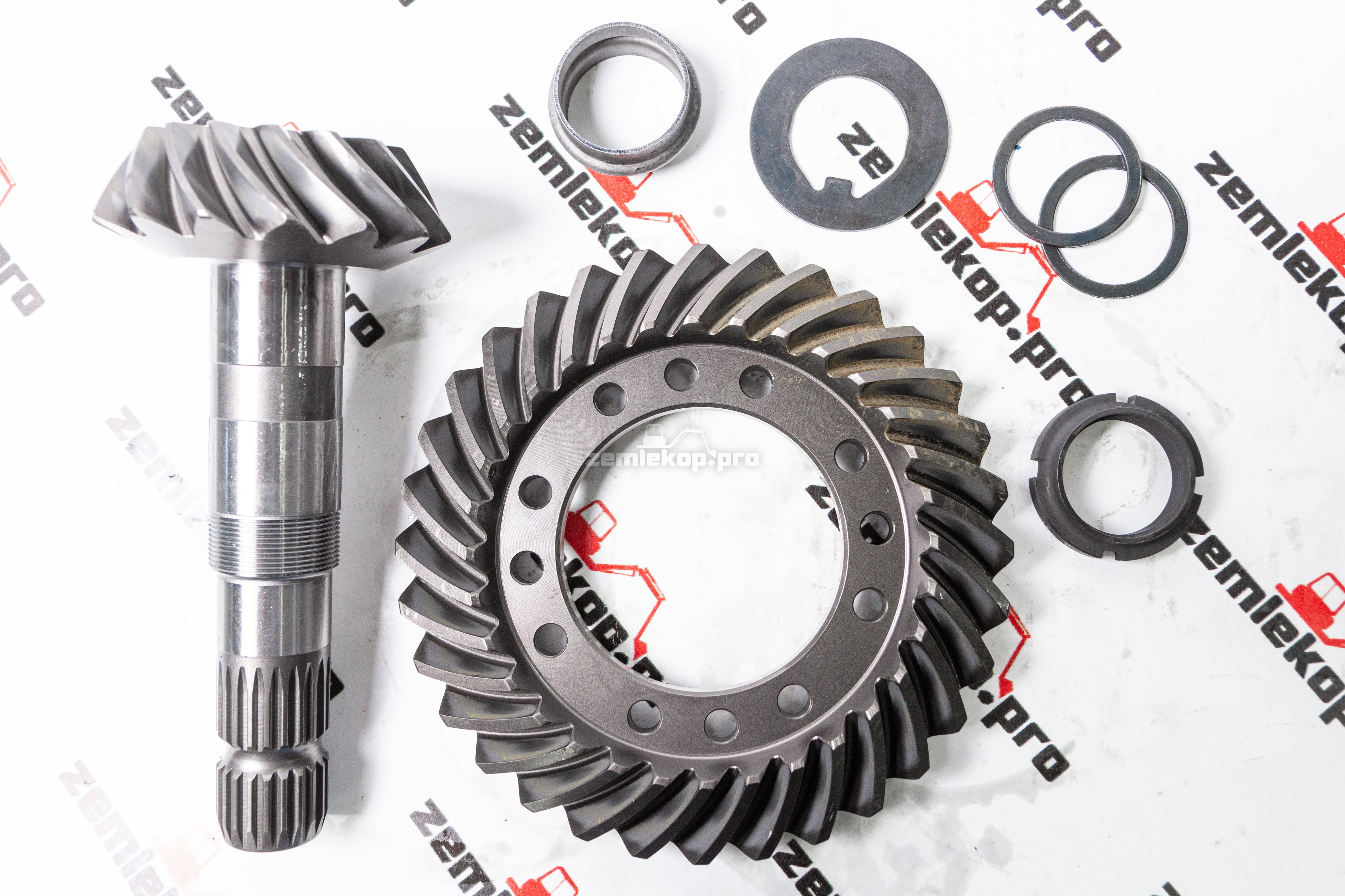 65596 Главная пара