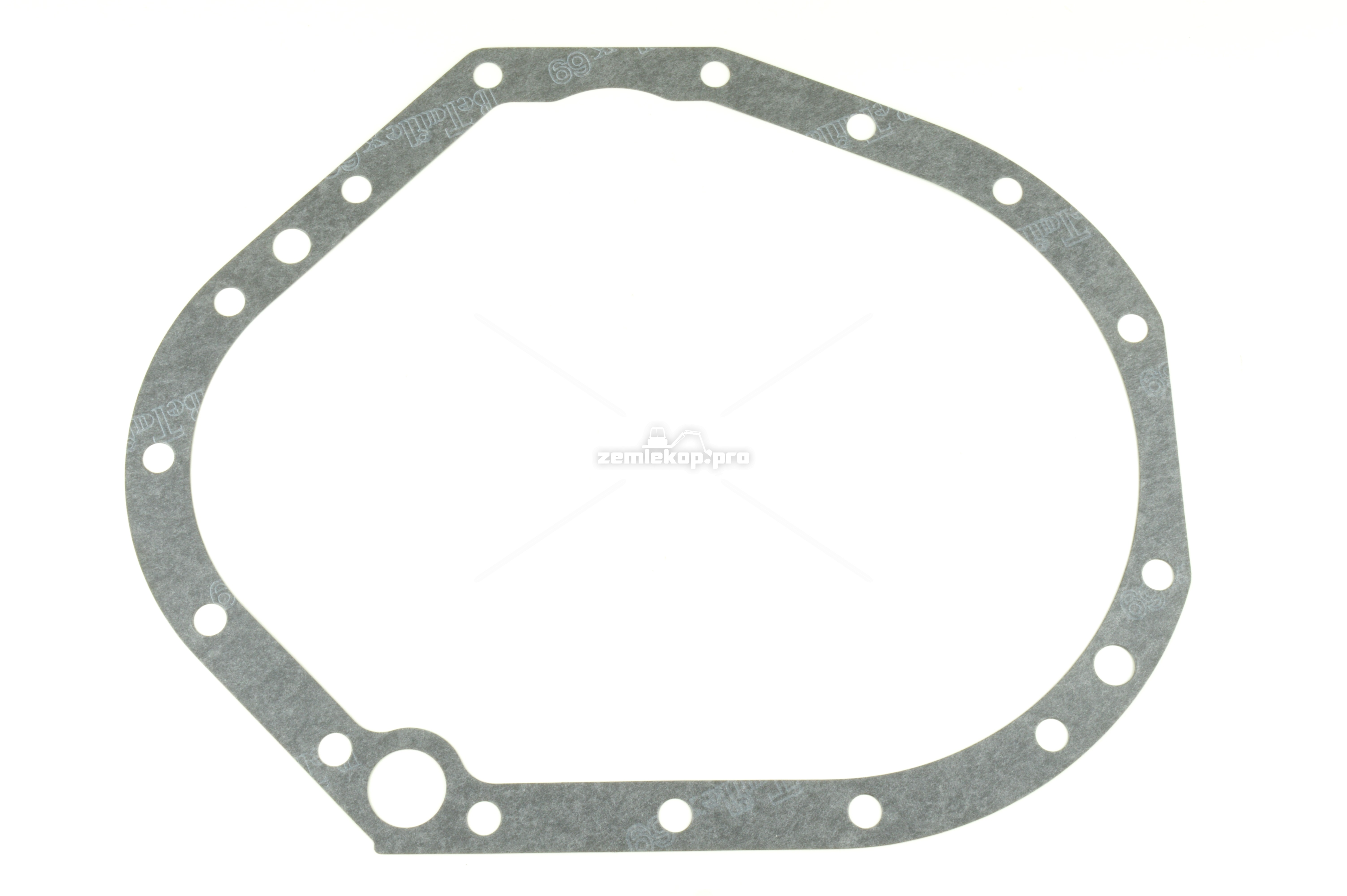 4205924 GASKET