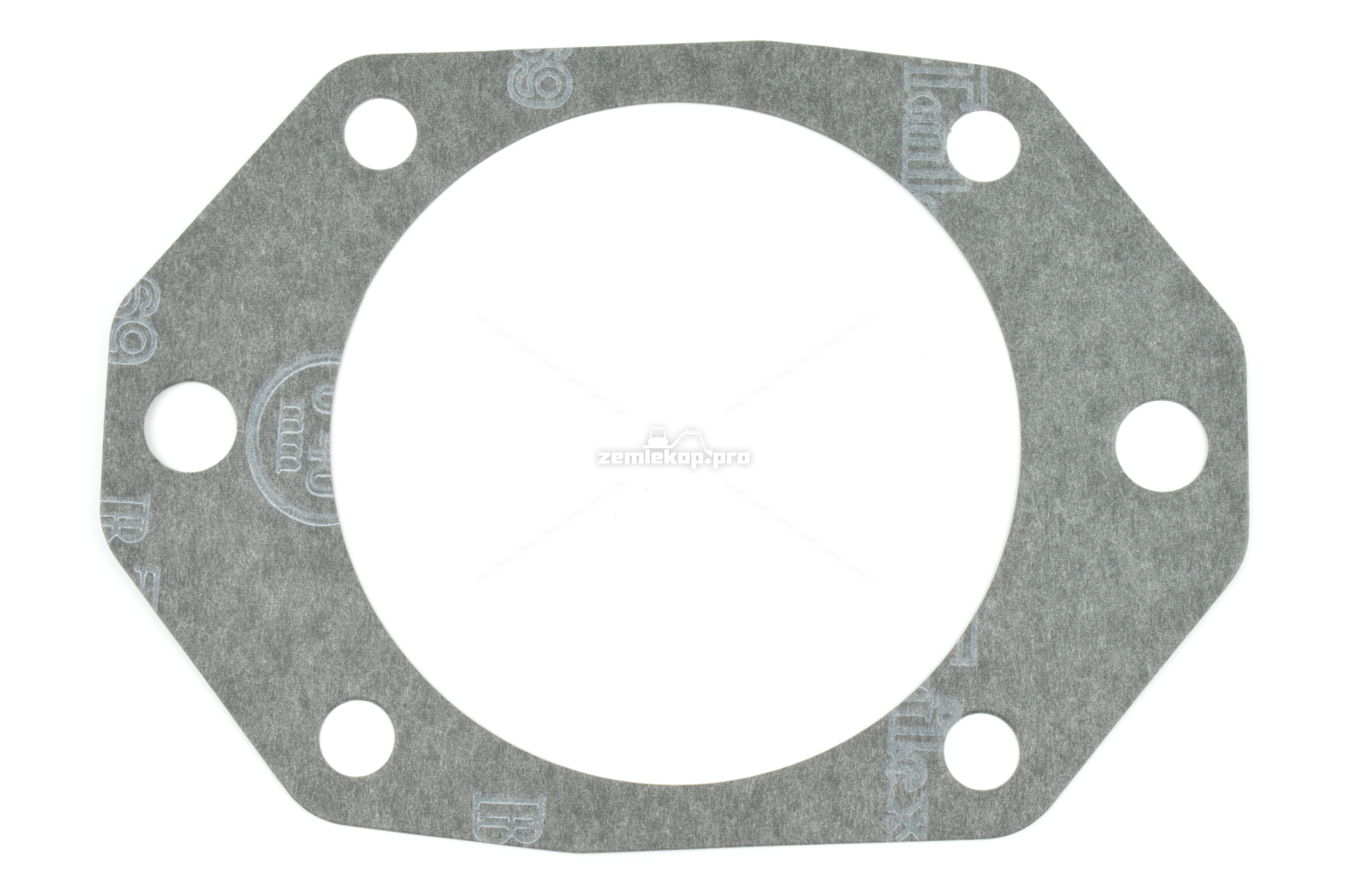 4206098 GASKET