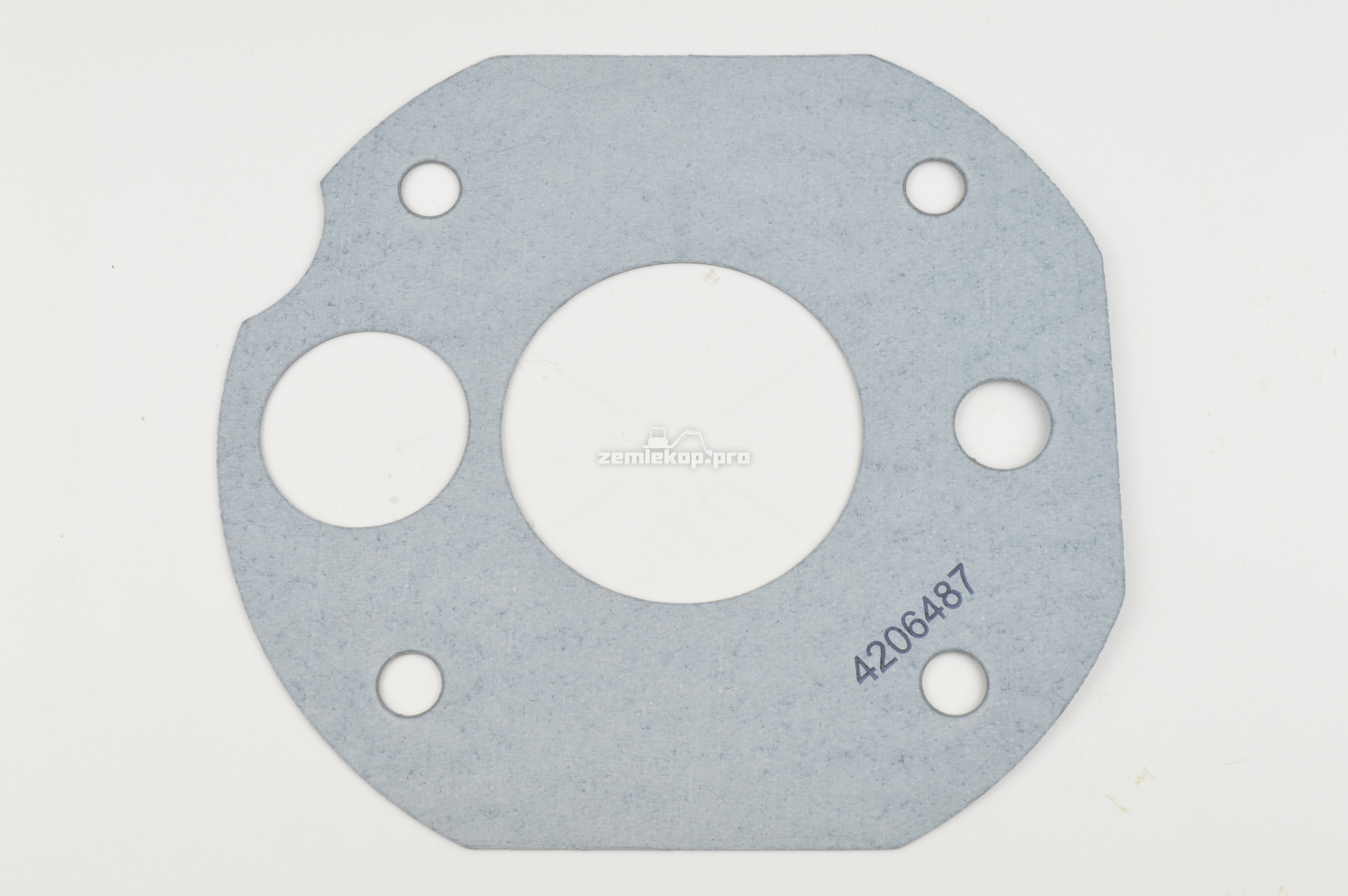 4206487 GASKET