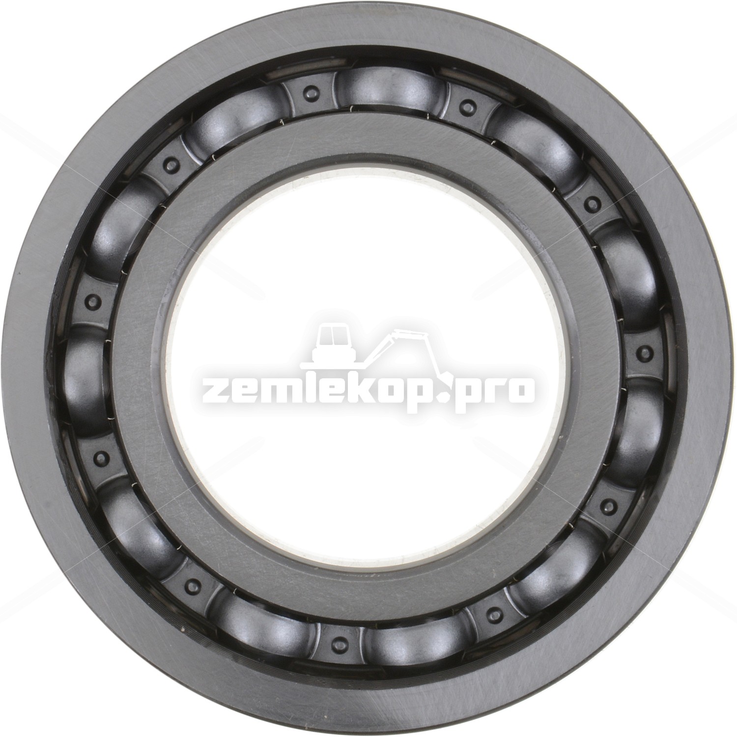 4206501 BEARING