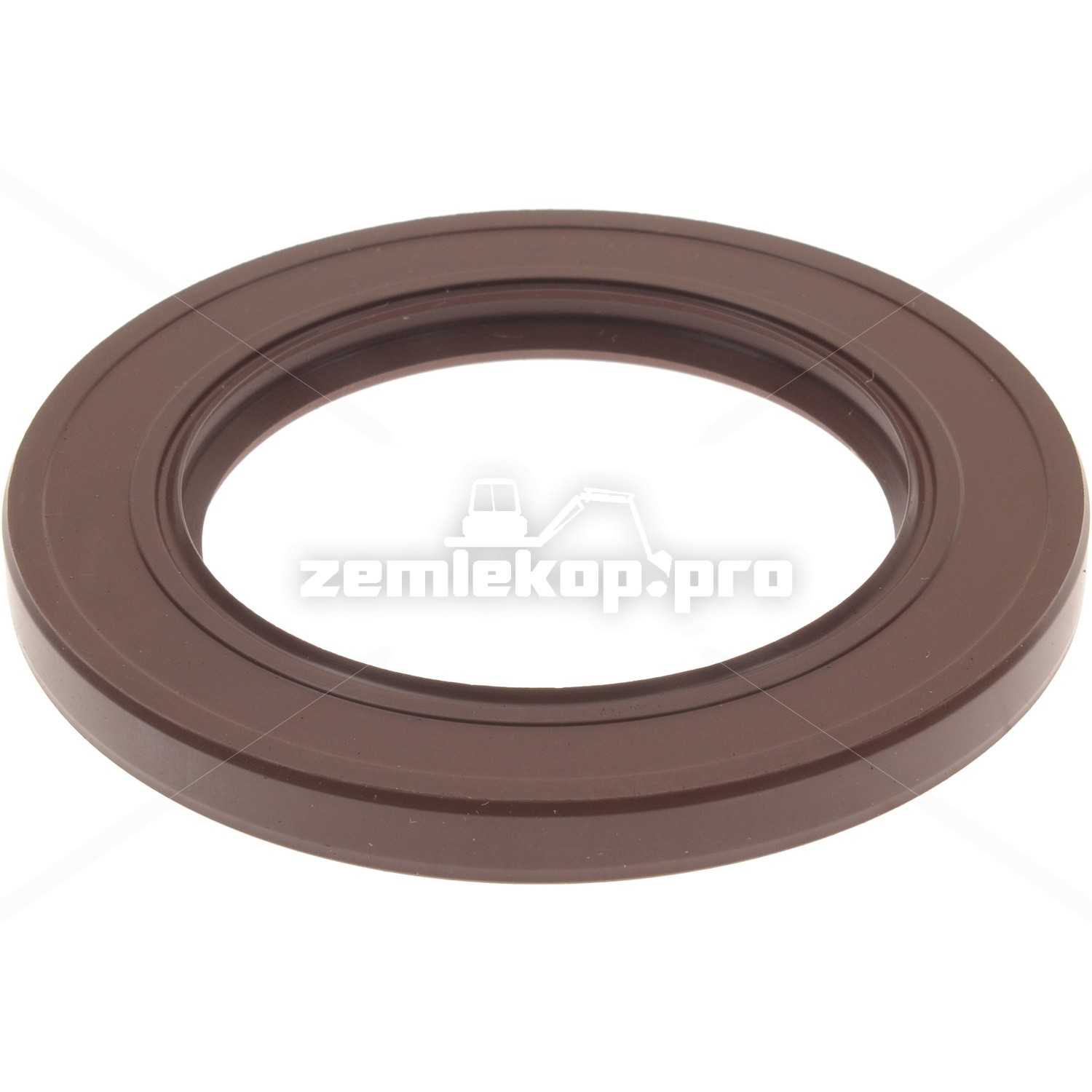 4206988 OIL SEAL