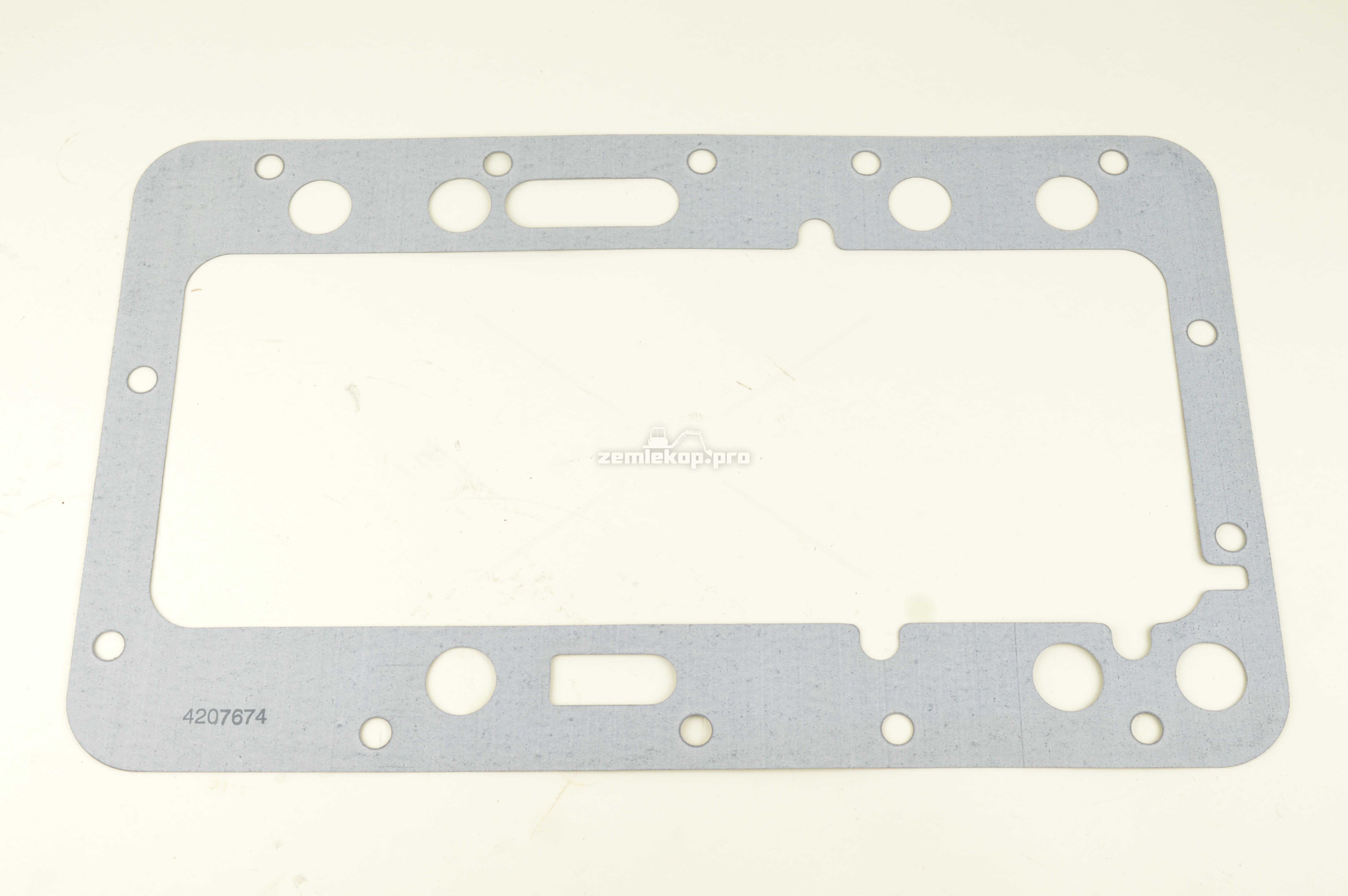 4207674 GASKET
