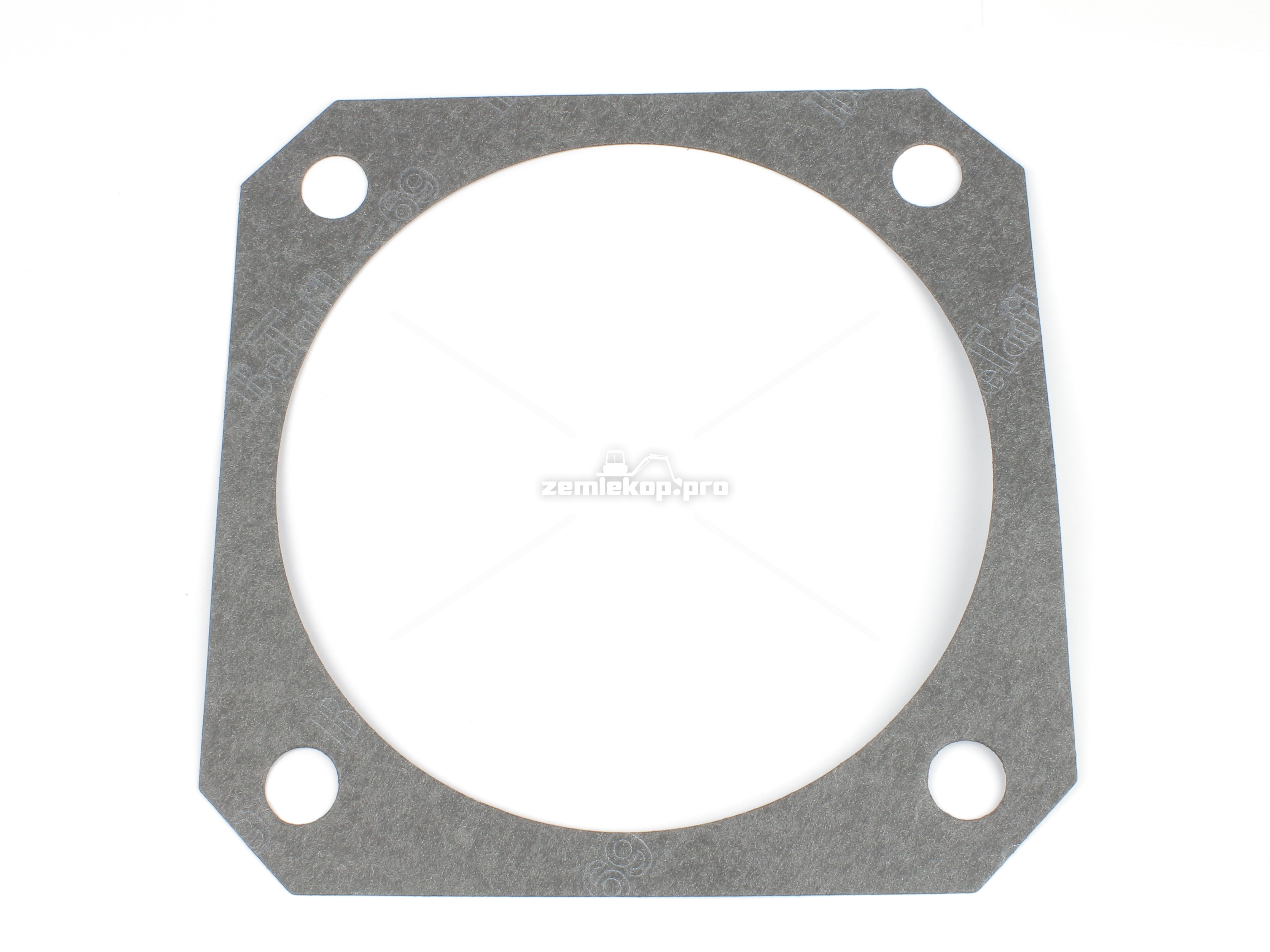 4209619 GASKET