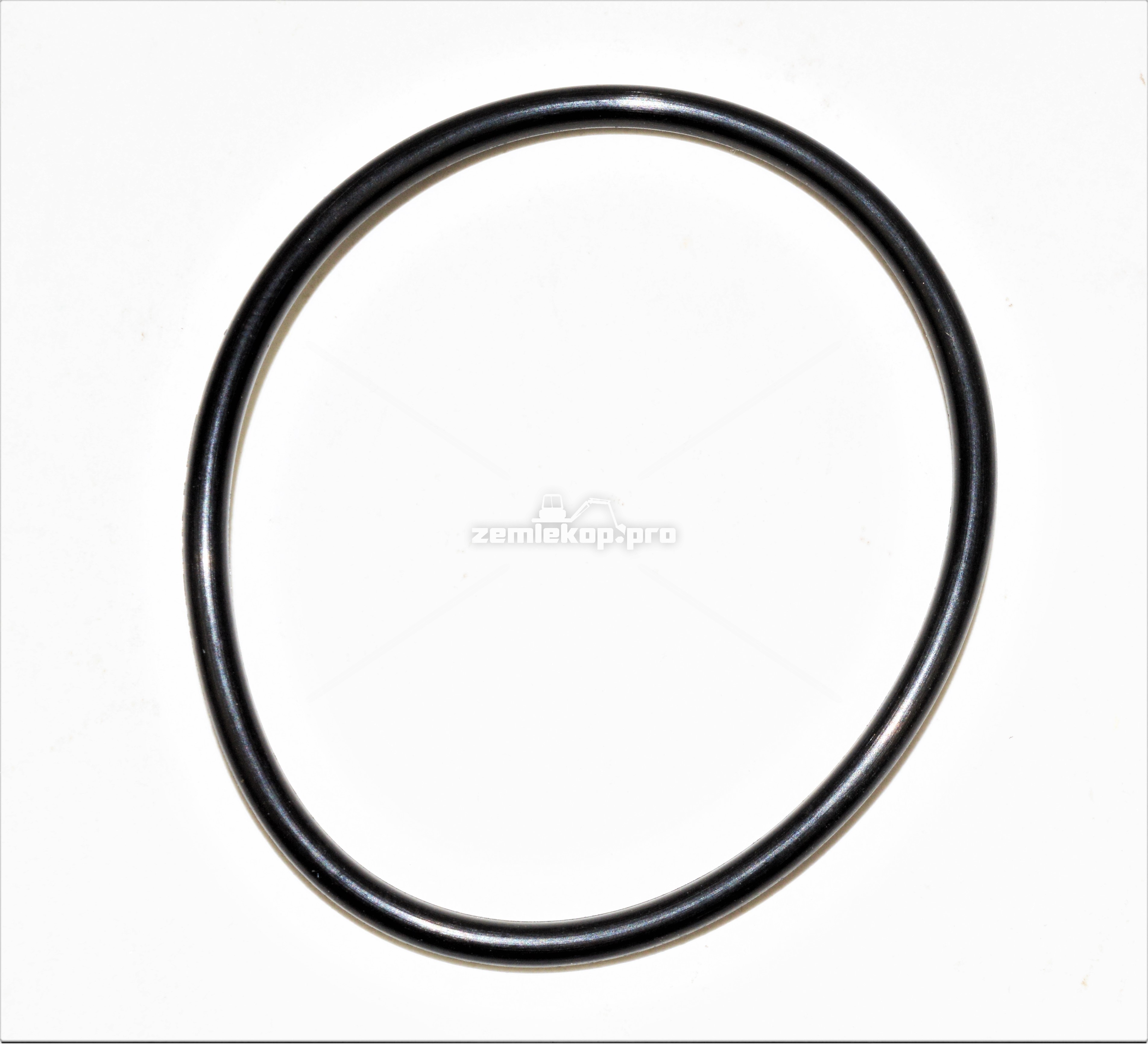 4218676 O-RING
