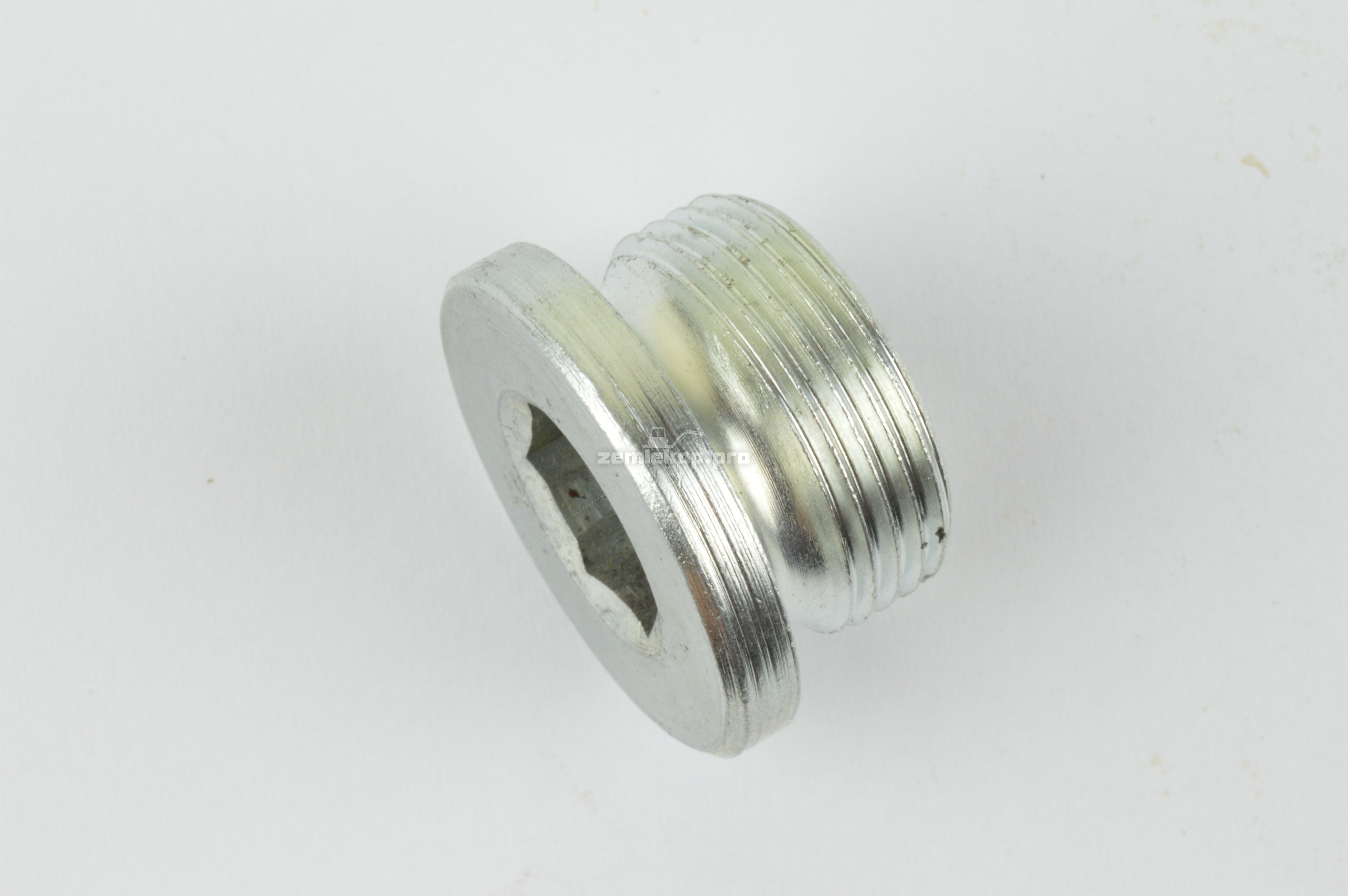 725.06.034.01 Oil Plug with Magnet M24X1,5
