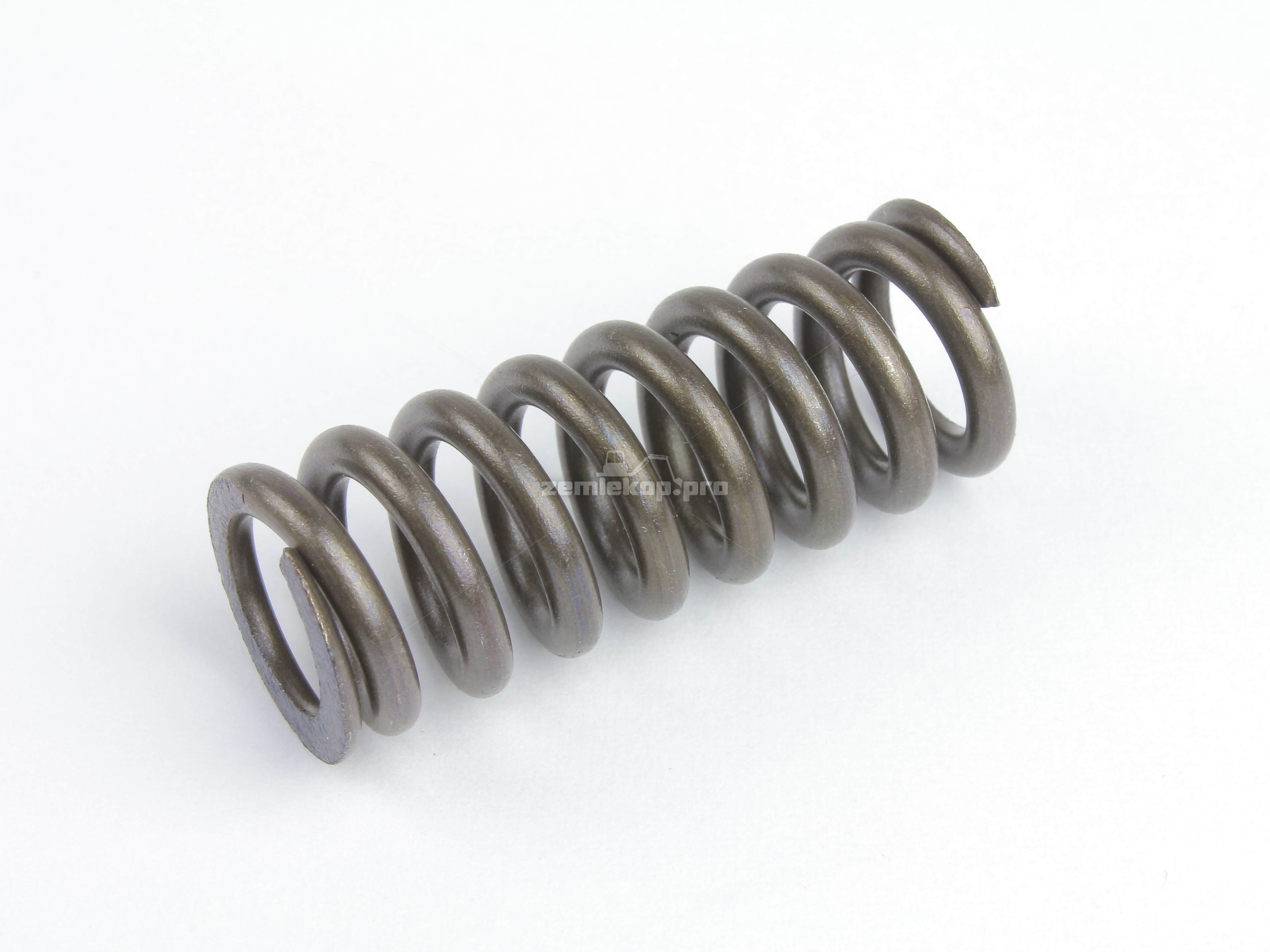 750.07.006.01 SPRING