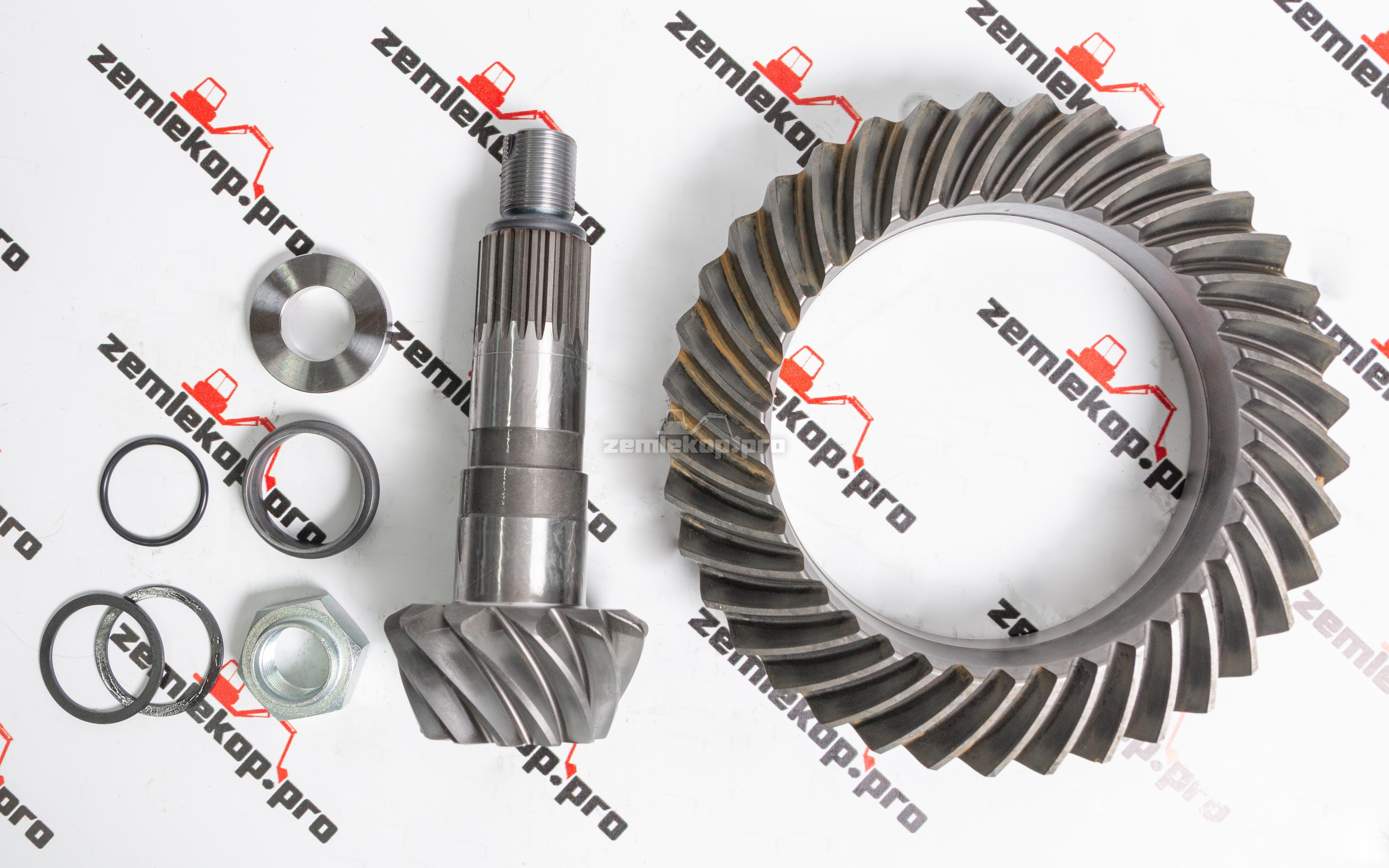 64884 Главная пара