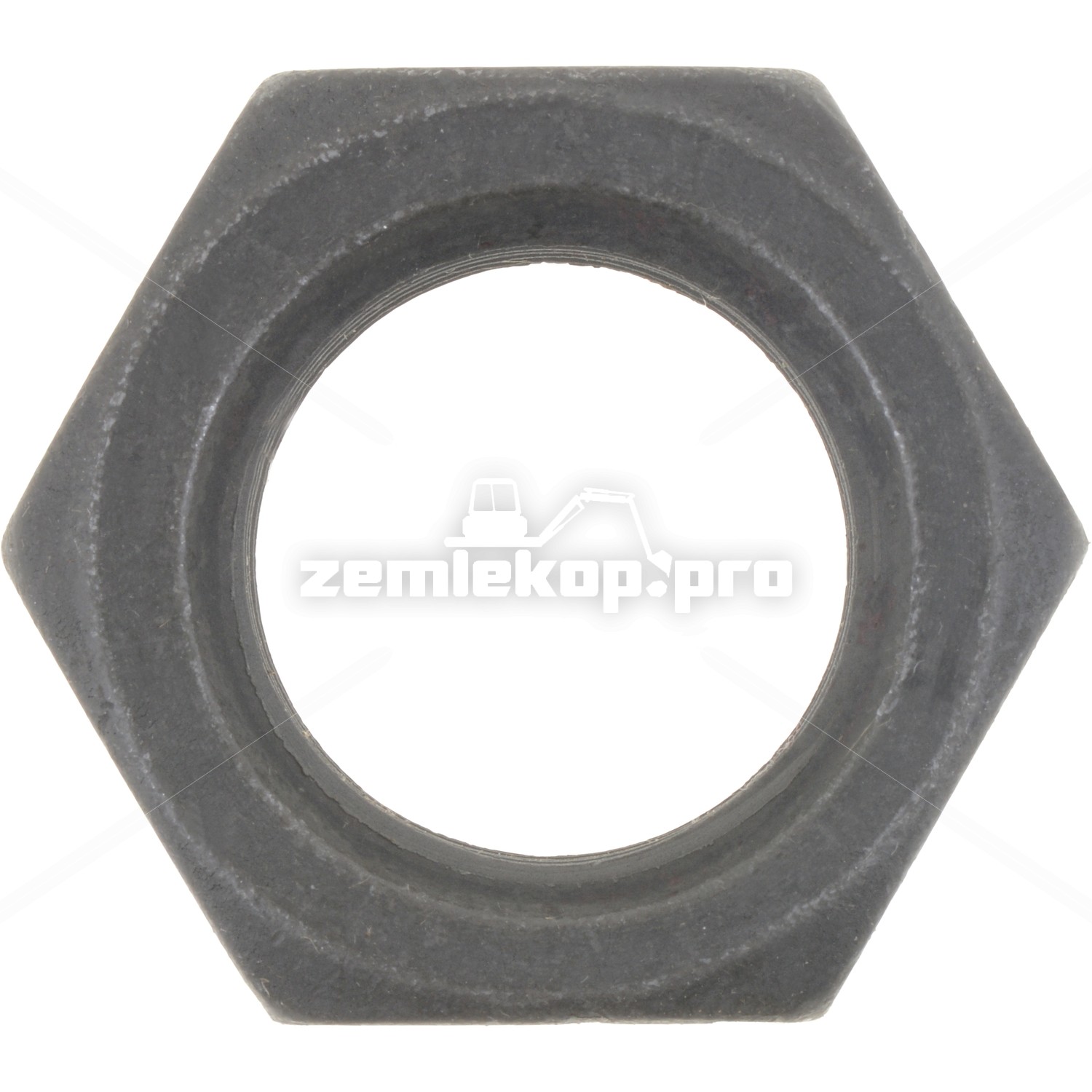 8D18H HEX NUT