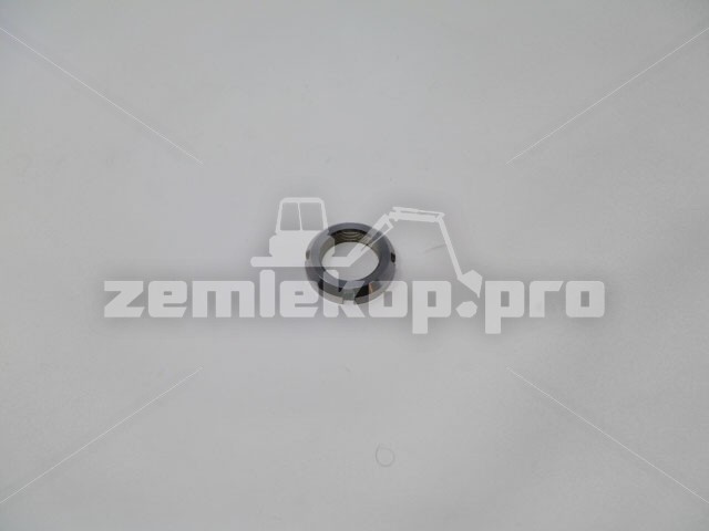 980106 NUT,BRG(1.173-18,N-06)