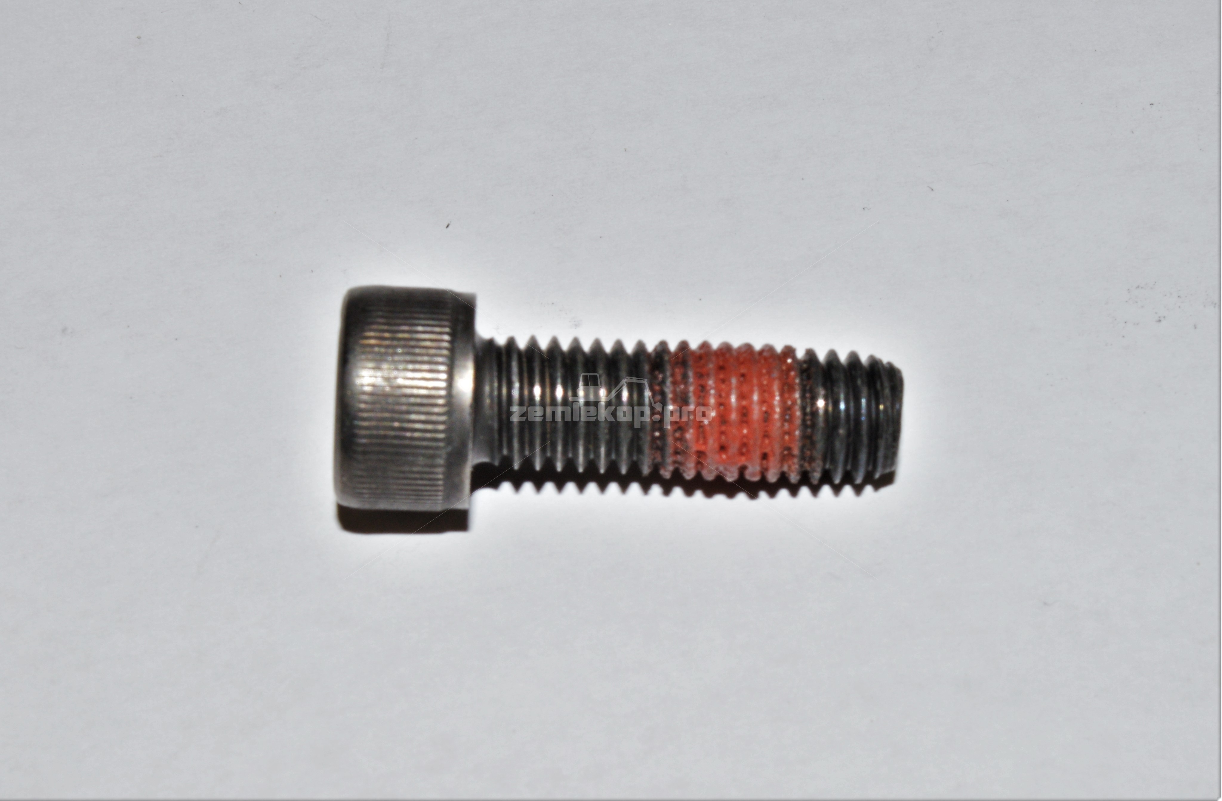 F4666/55 BOLT